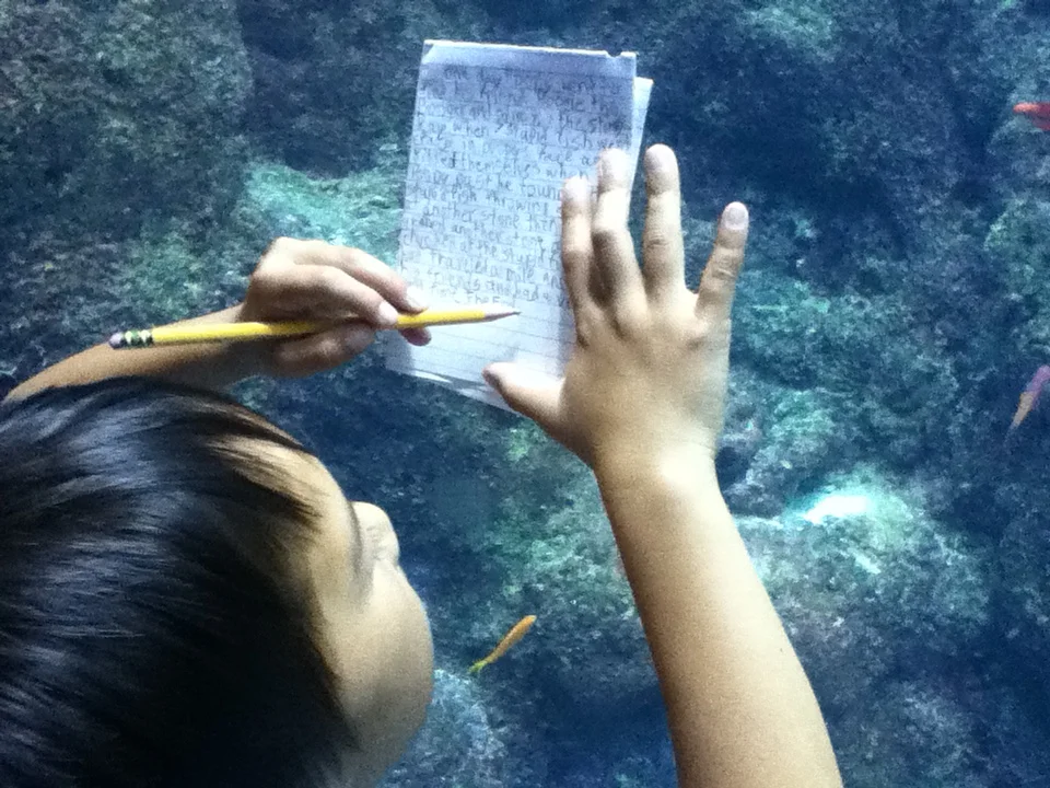 I write the story of the sea, and in my mind, I swim like a fish.