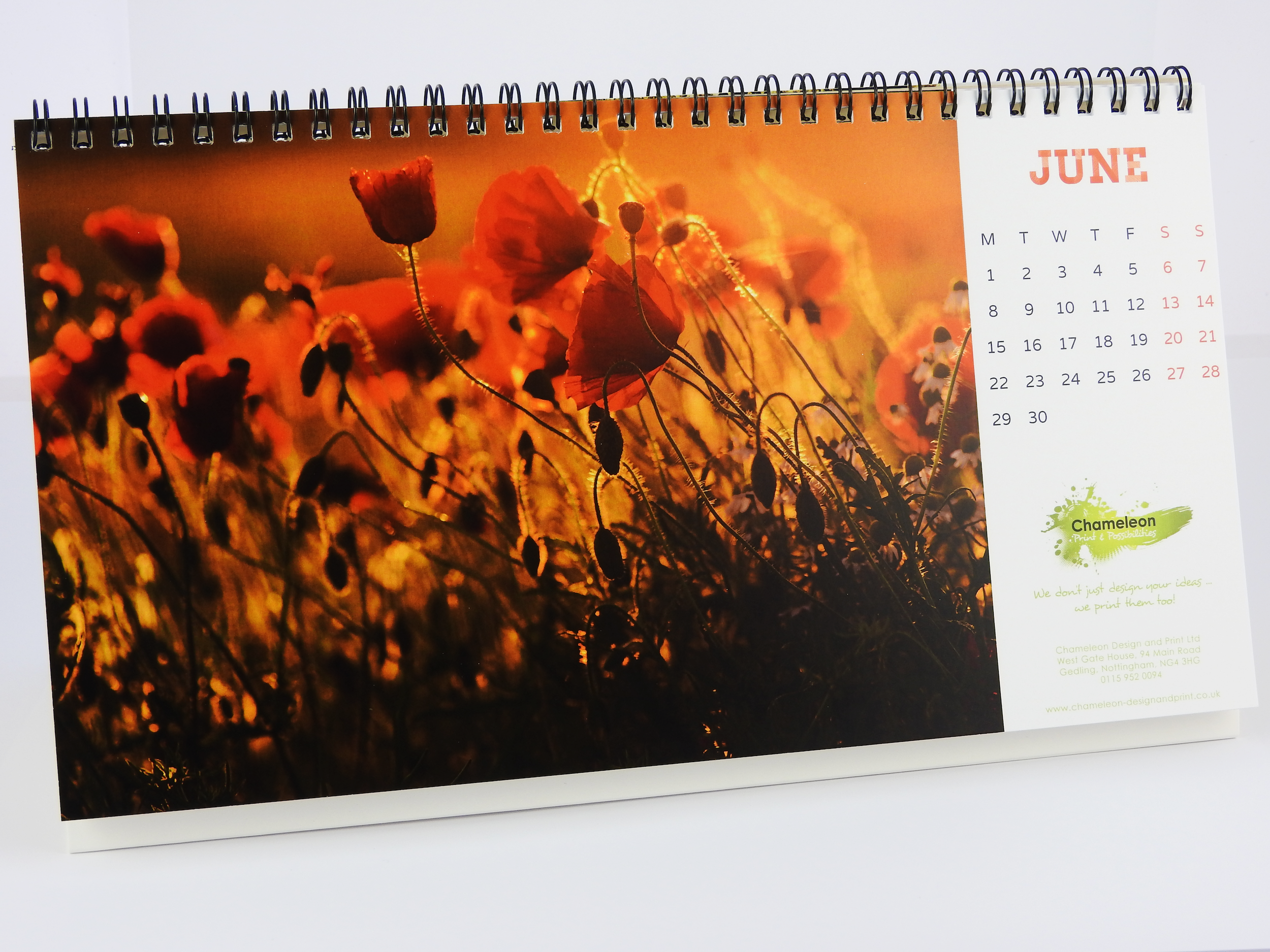 Chameleon Calendar 2014