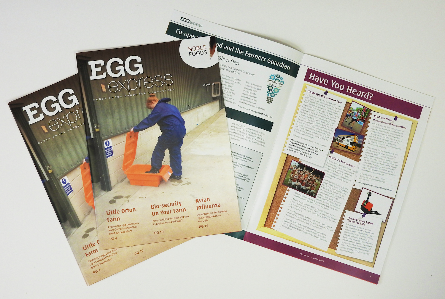 egg-express-june-2015 WEB.png