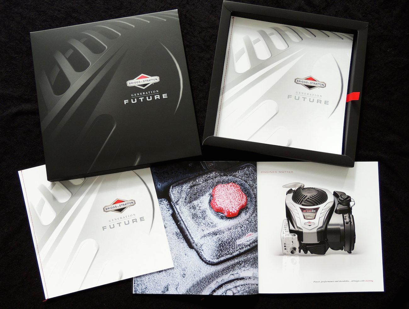 Briggs-Packaging-&-Brochure WEB.png