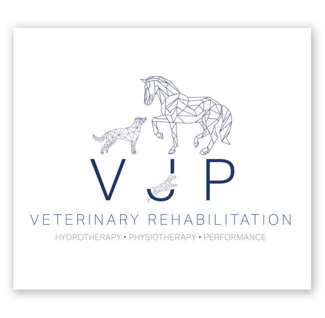 VJP Veterinary Rehabilitation Logo Design (Copy)