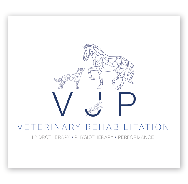 VJP Veterinary Rehabilitation Logo Design