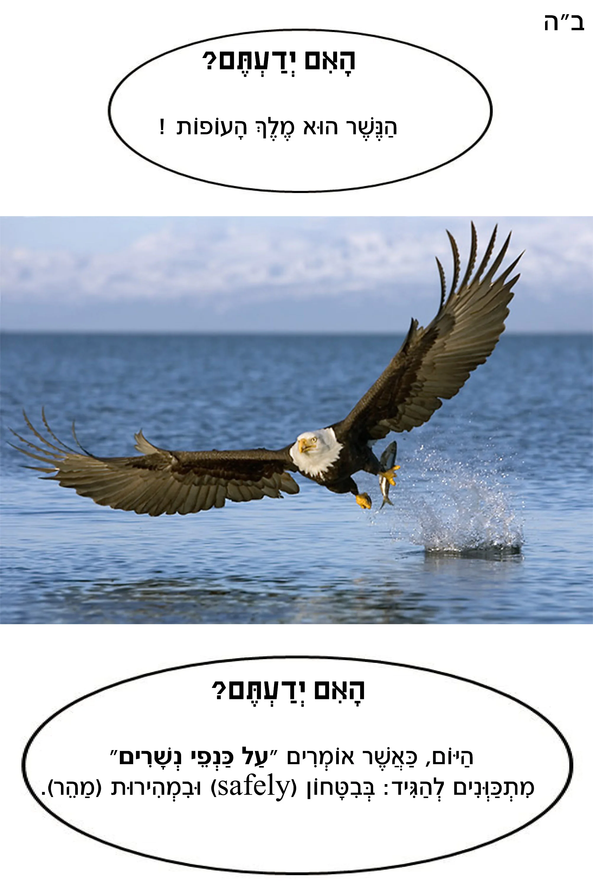 Page 1.jpg
