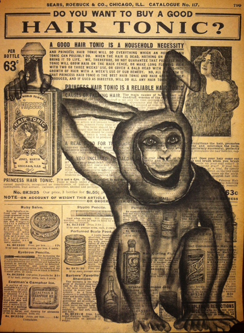 Monkey Tonic Charcoal on antique catalog page, 8 1/2" x 11"