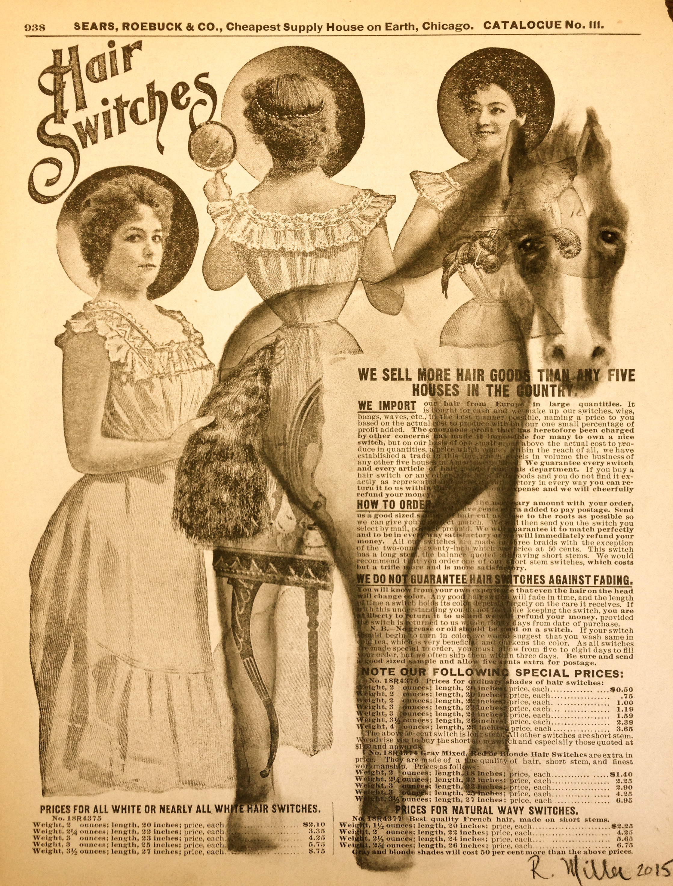 Hair Switches, 2015 Charcoal on antique catalog