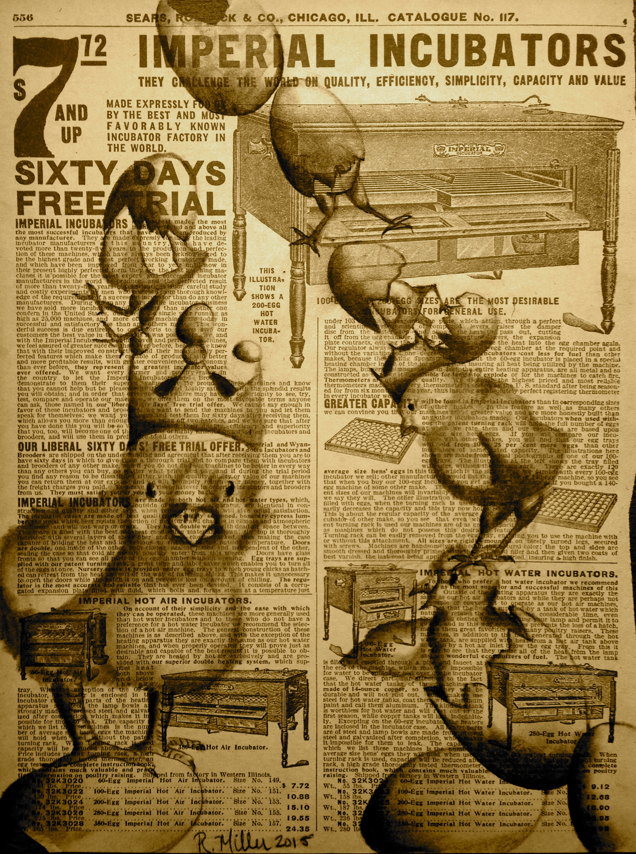 Chicks Rule, 2015 Charcoal on antique catalog