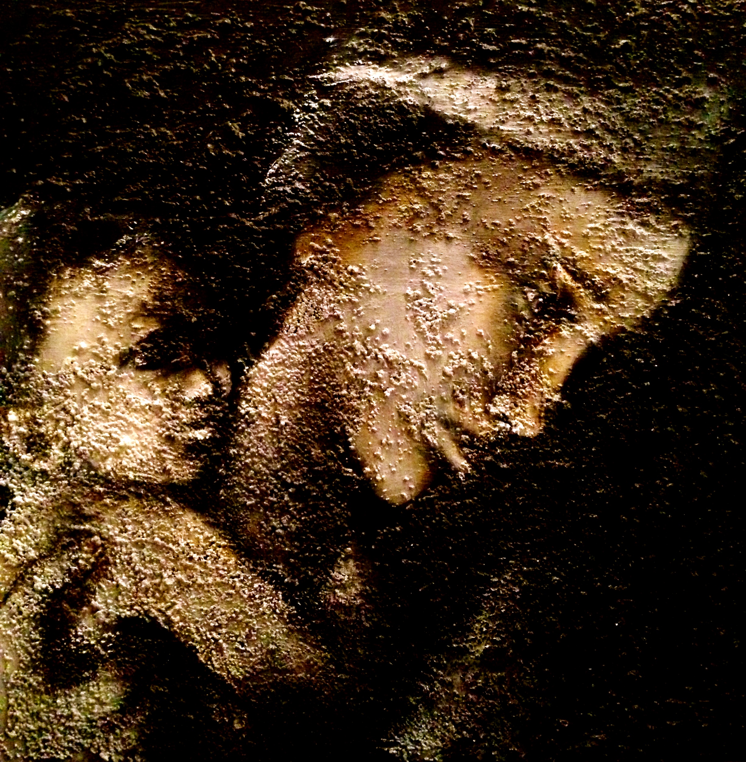 Pompeii Morphus, 2015 Mixed media & Pumice on canvas