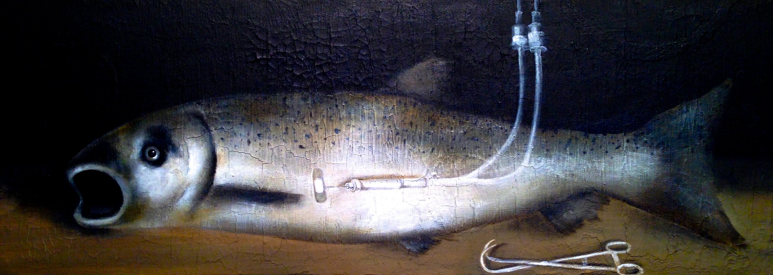 Still Life with GMO Salmon, 2016 Acrylic, oil, texture medium on canvas