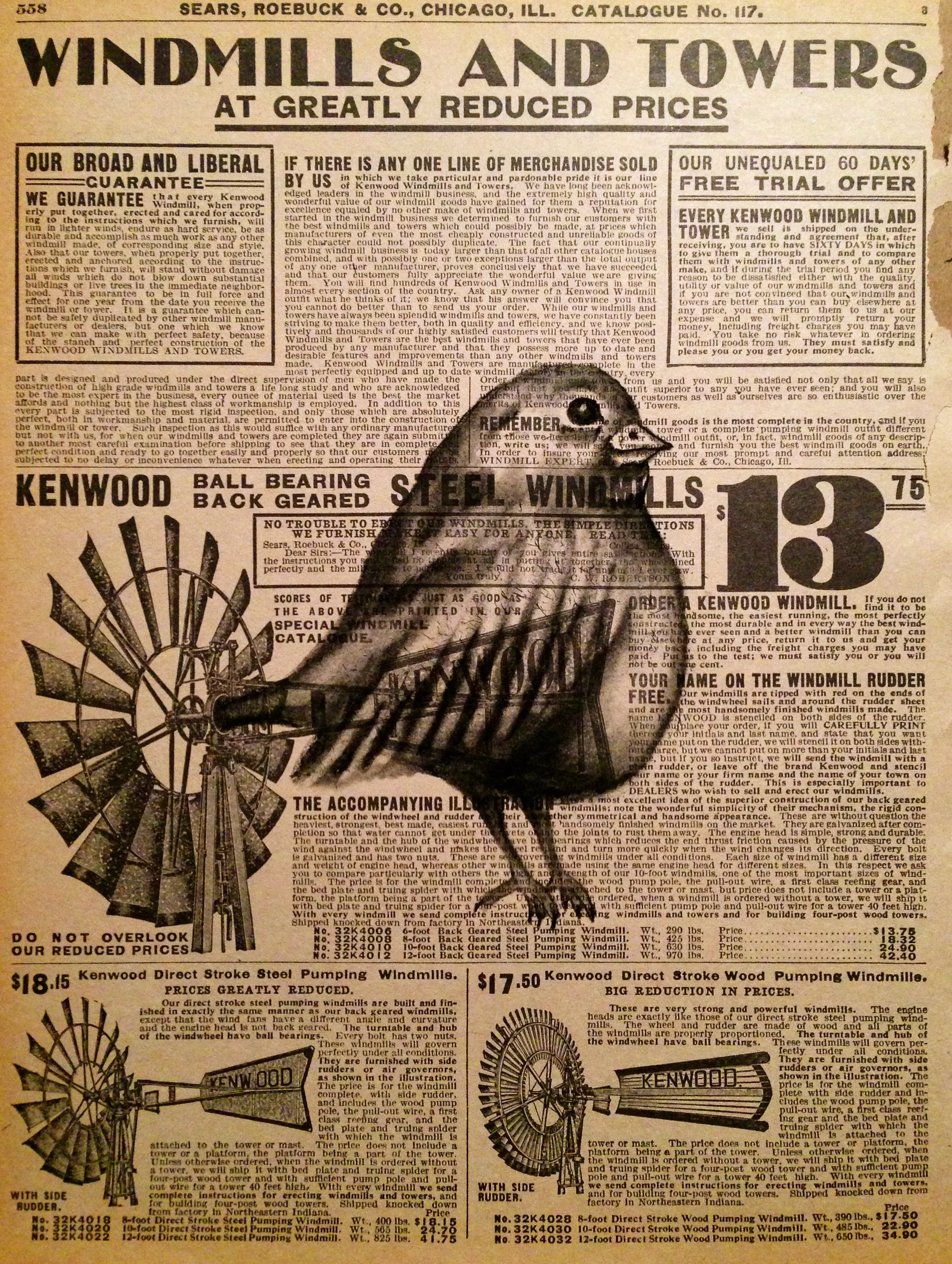Tailwind, 2016 Charcoal on antique catalog