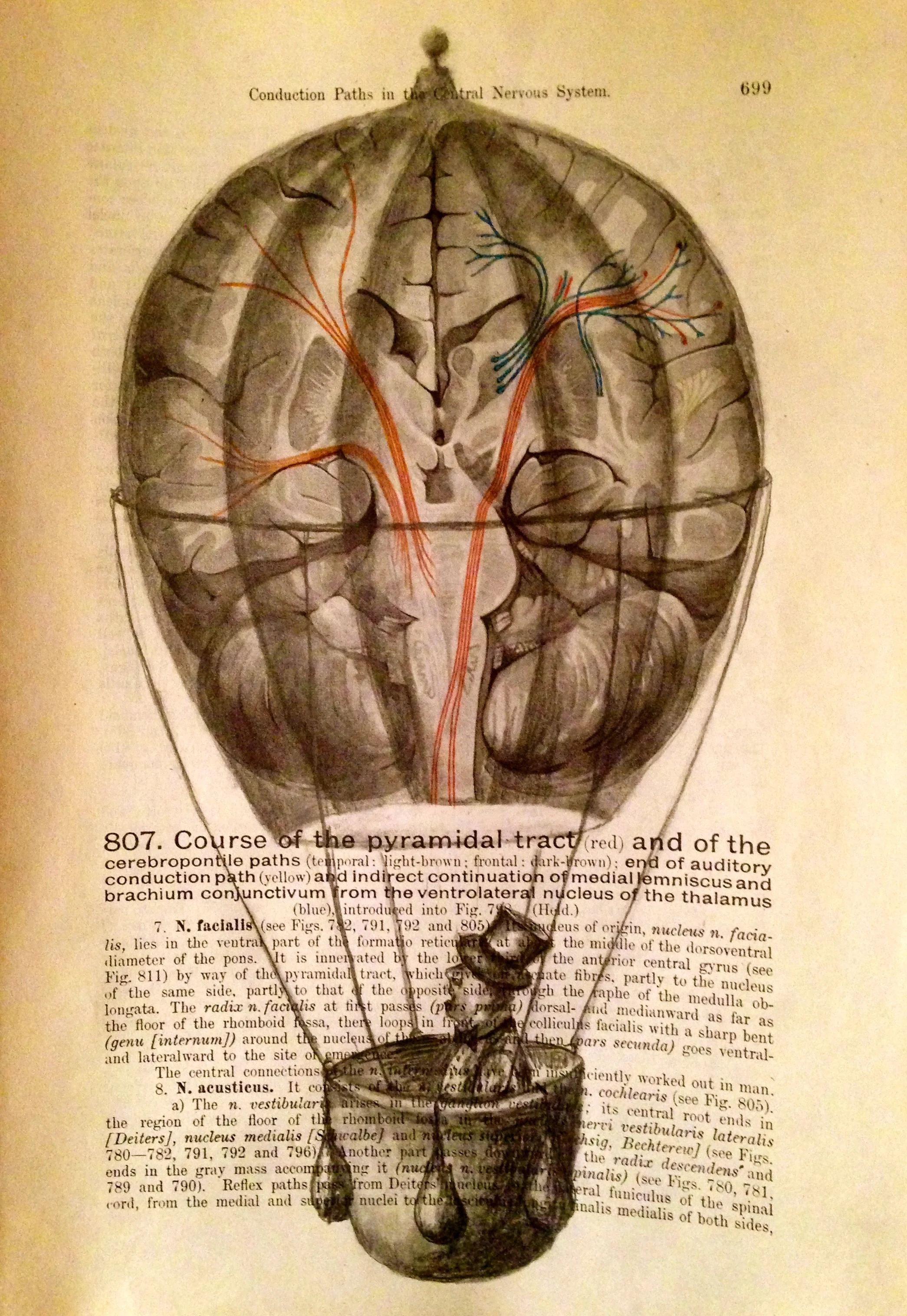 Conductive Current, 2017Charcoal on antique medical paper