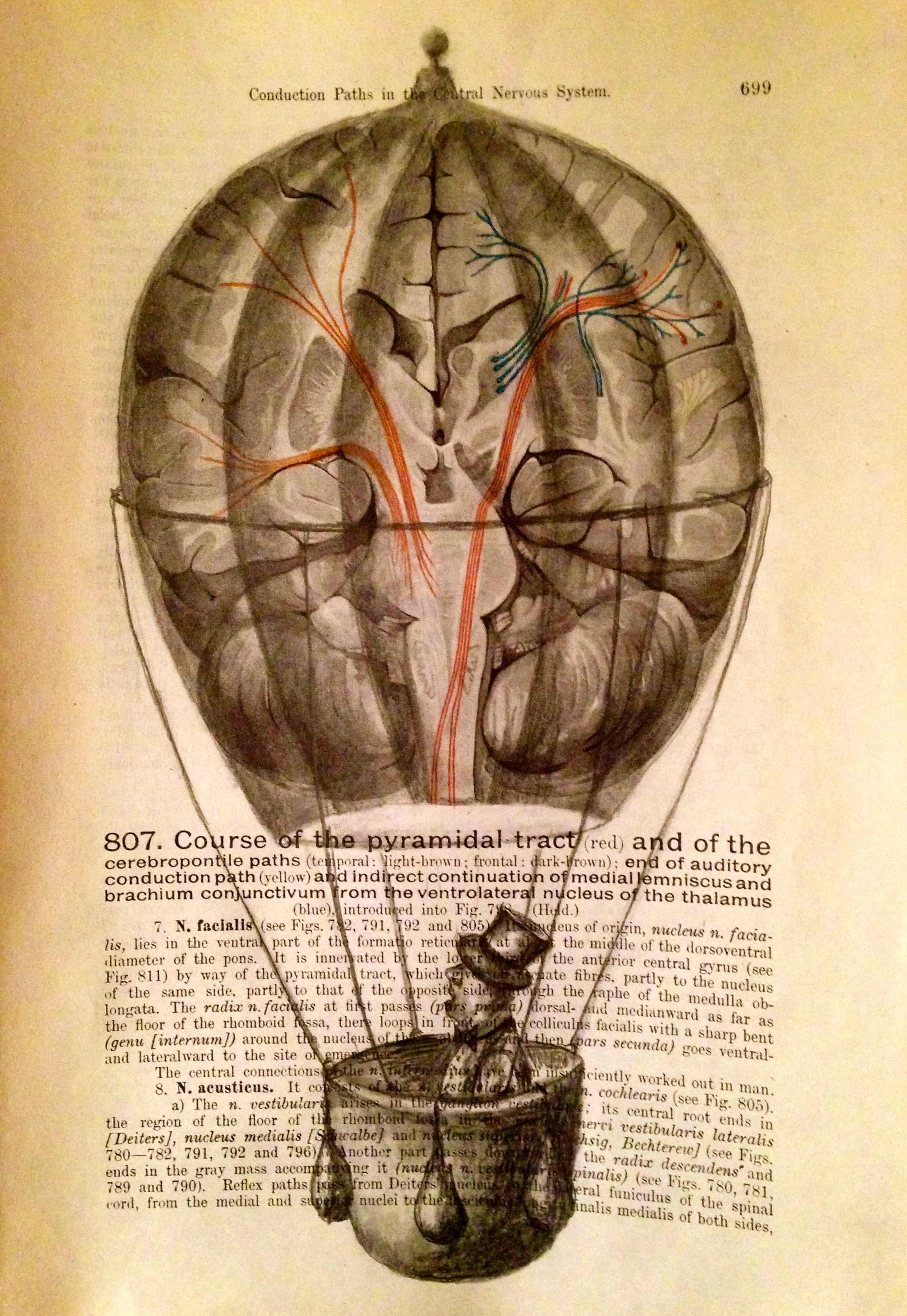 Conductive Current, 2017 Charcoal on antique medical paper