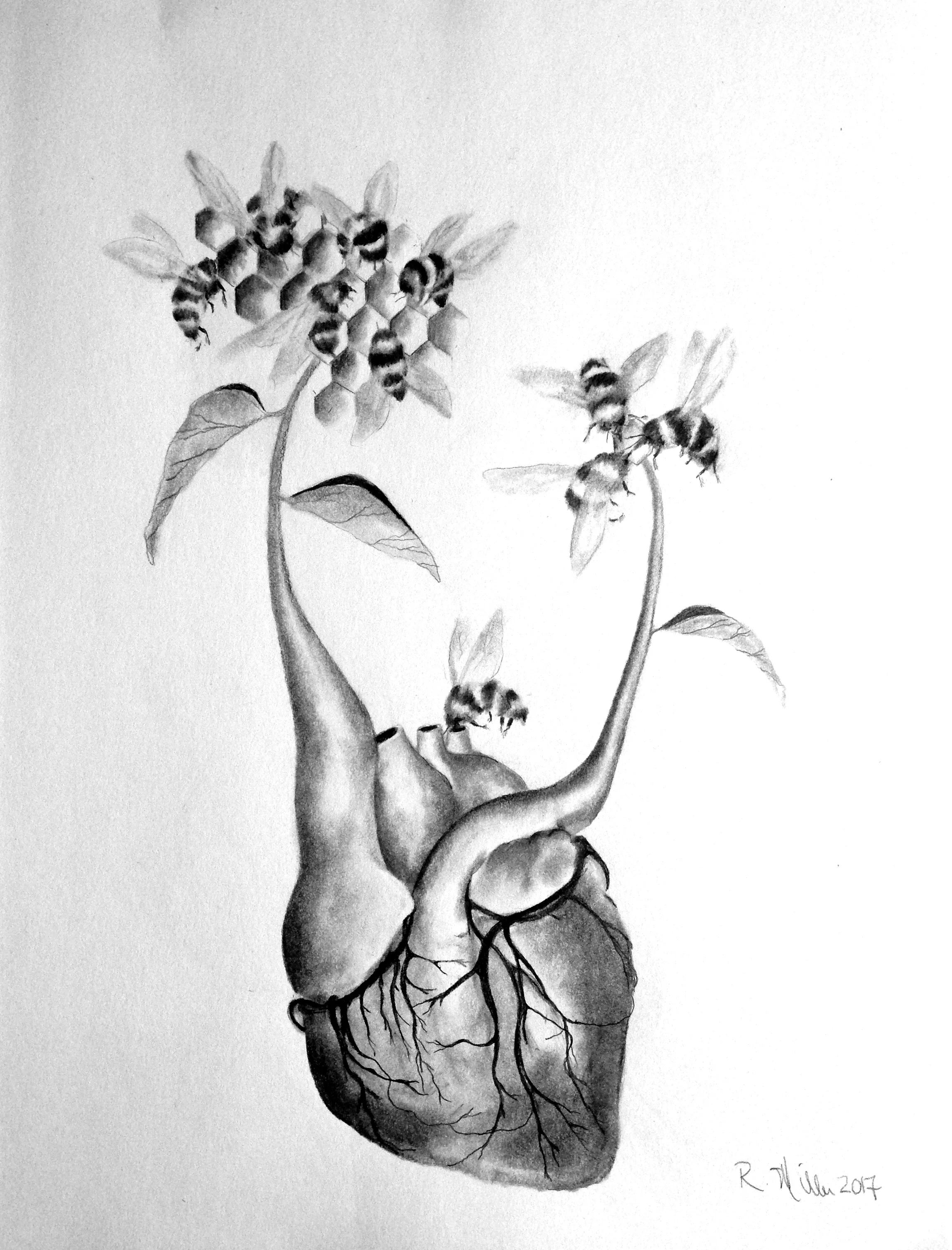 Lifeblood, 2017#2 pencil on paper