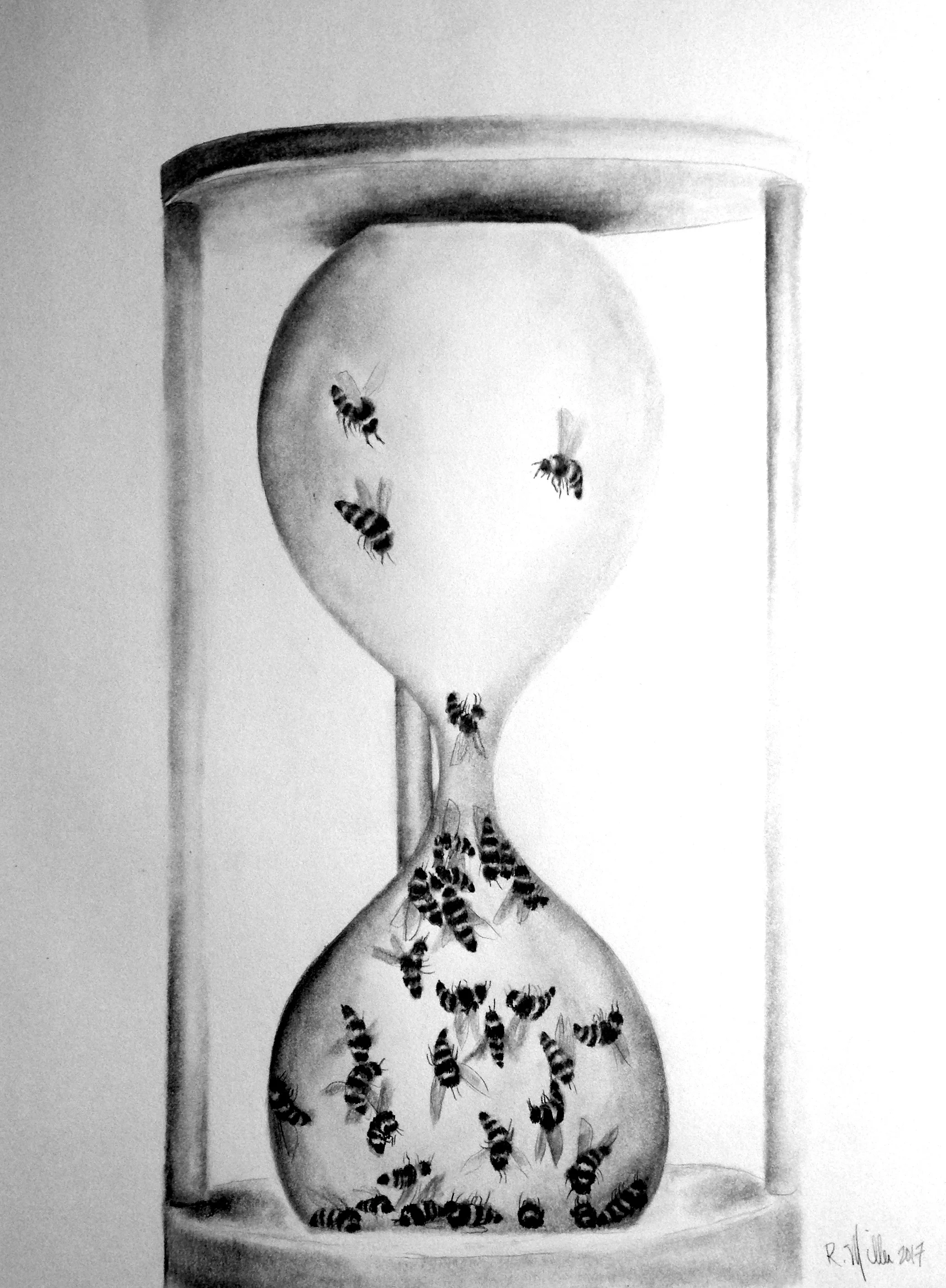 Bee Aware, 2017#2 Pencil on paper