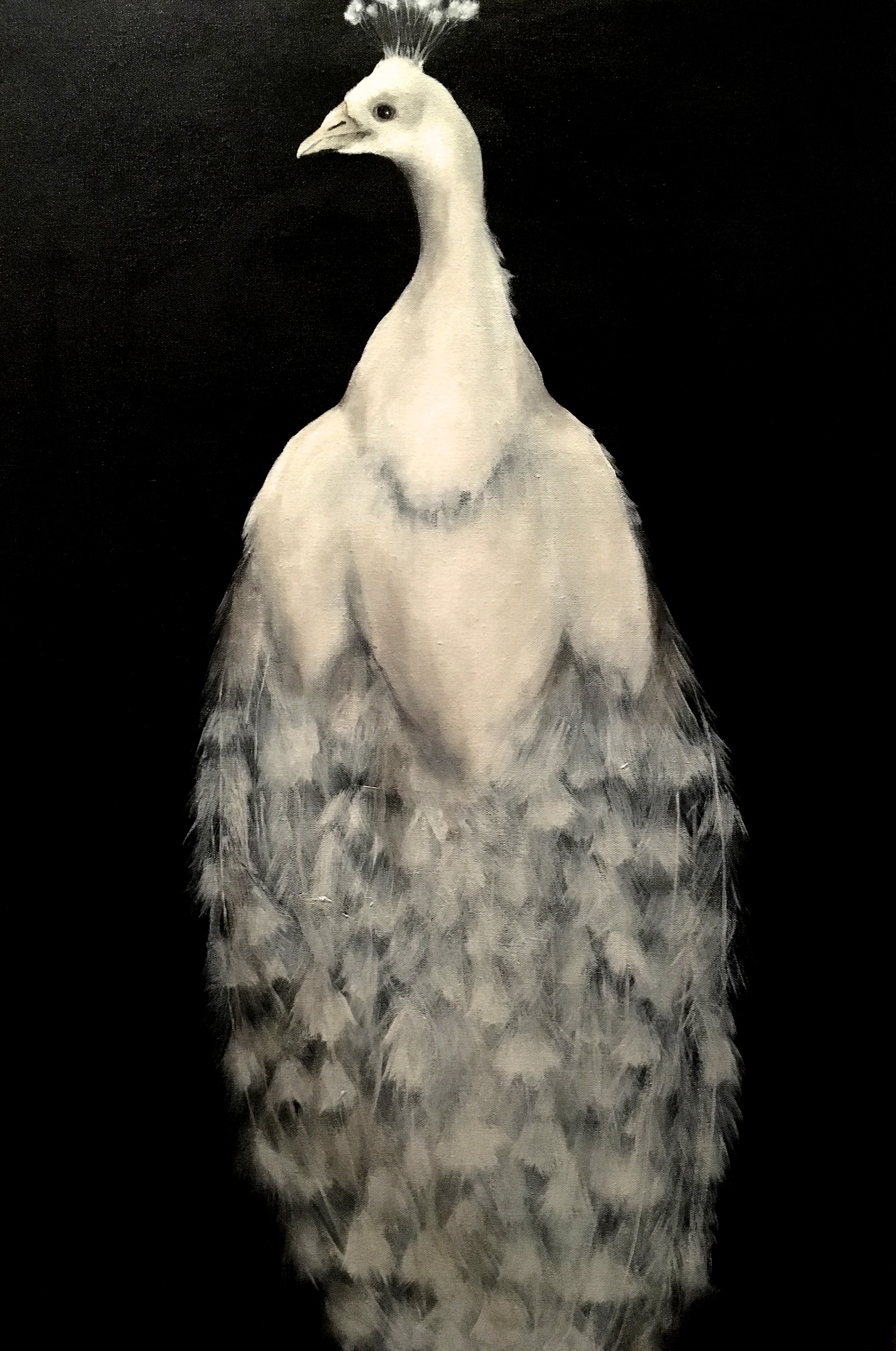 Delicate Nature, 2017 Acrylic on canvas 20"x30"