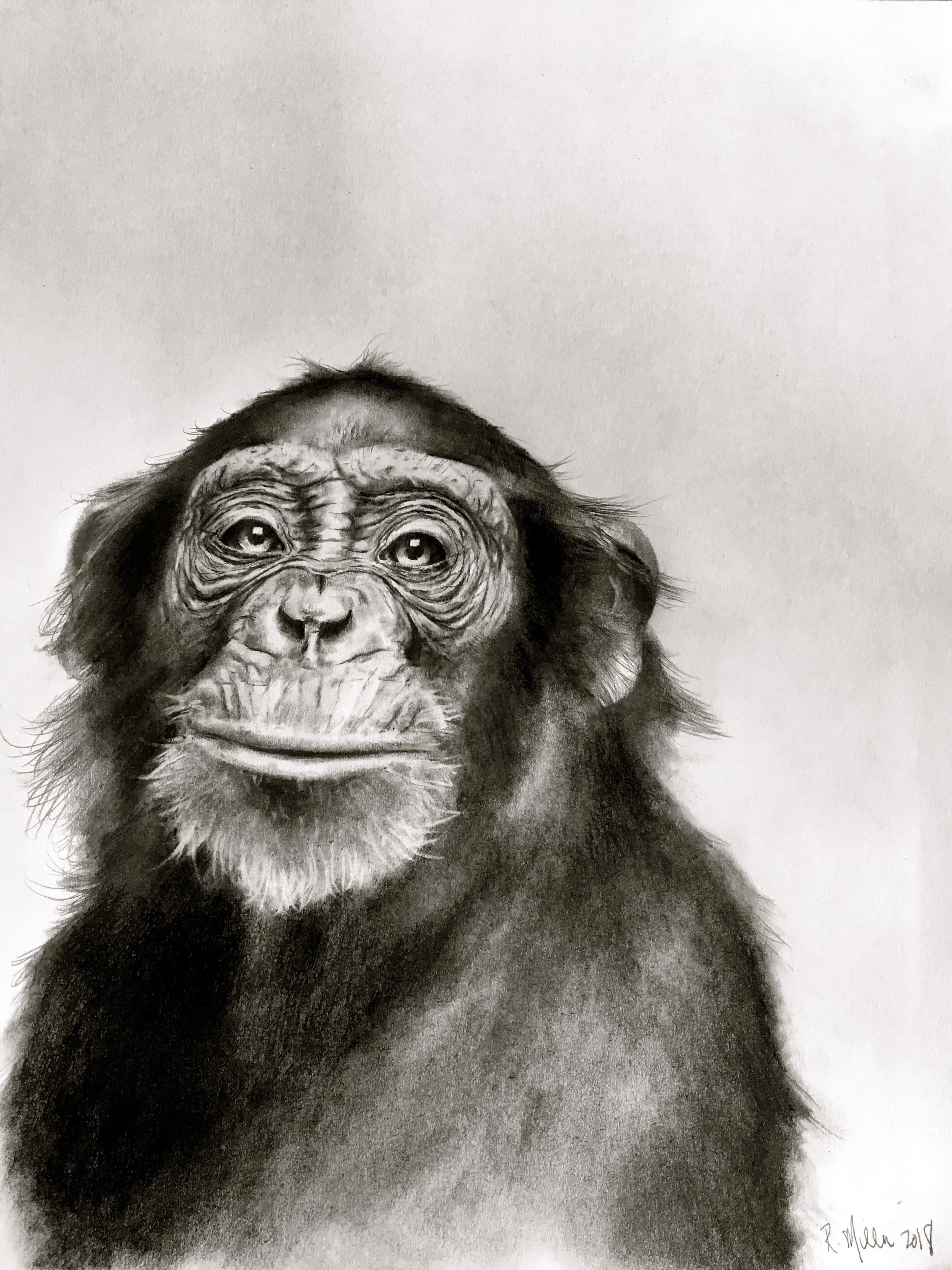 #2 Pencil with a hint of charcoal 11"x 14" “Here we are, the most clever species ever to have lived. So how is it we can destroy the only planet we have?” ~Jane Goodall