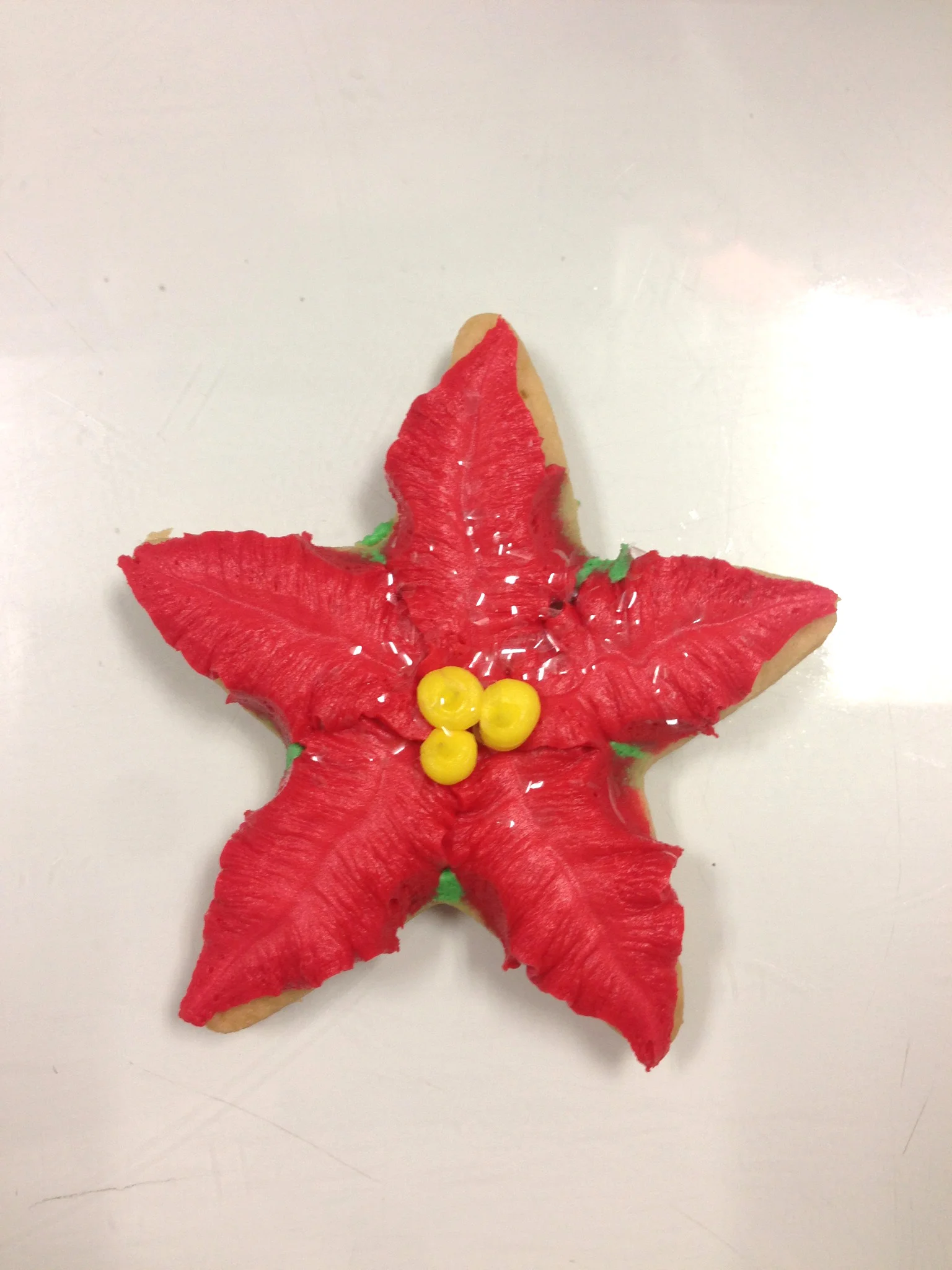 PoinsettiaOnStar.jpg