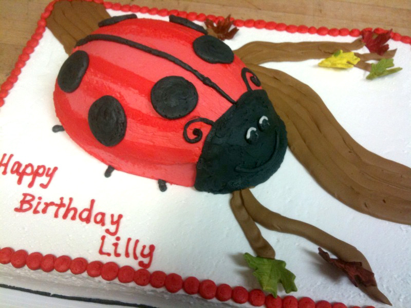Lady Bug Cake on Cake!