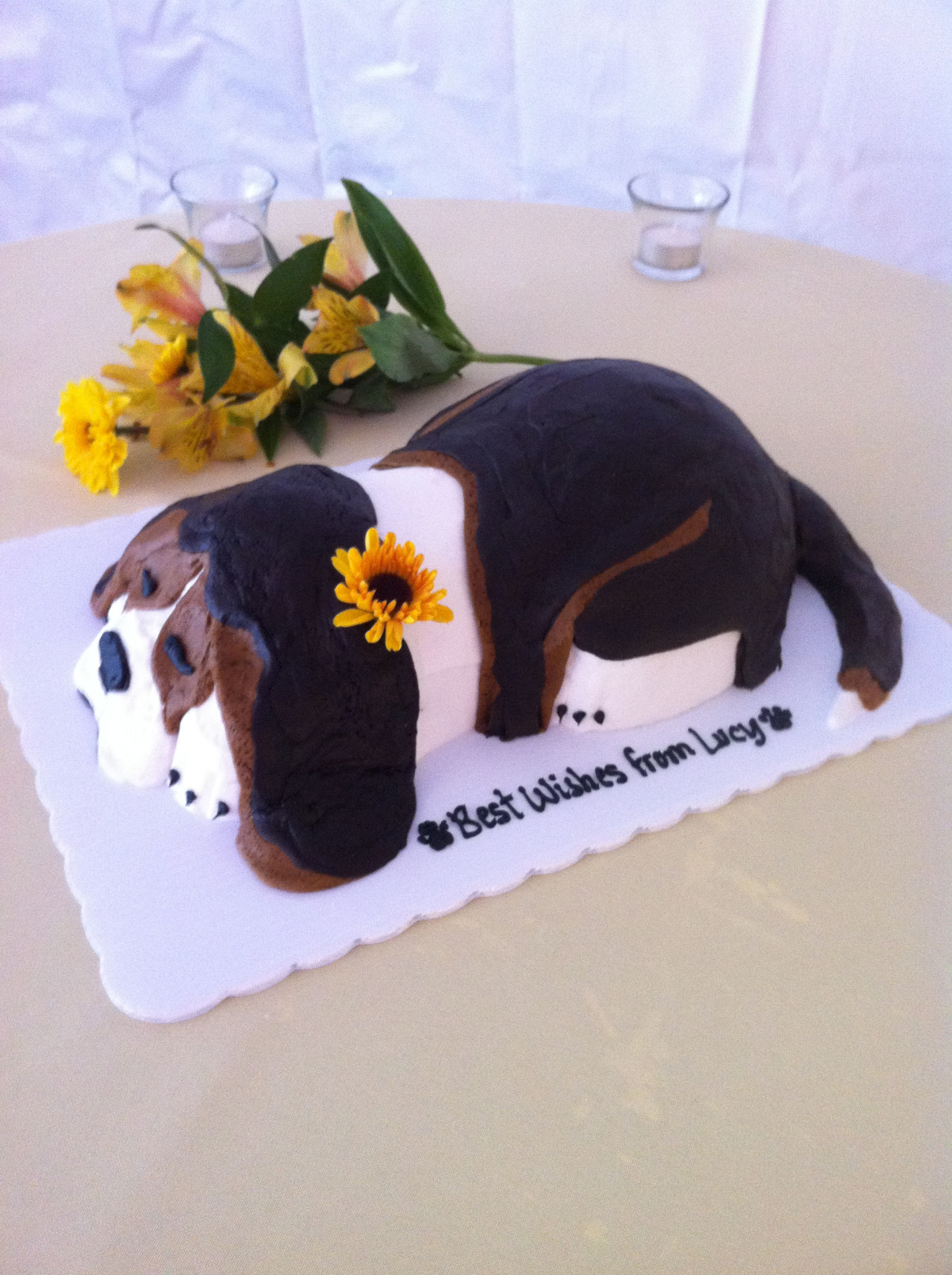 Dog Shaped Cake (Beagle)
