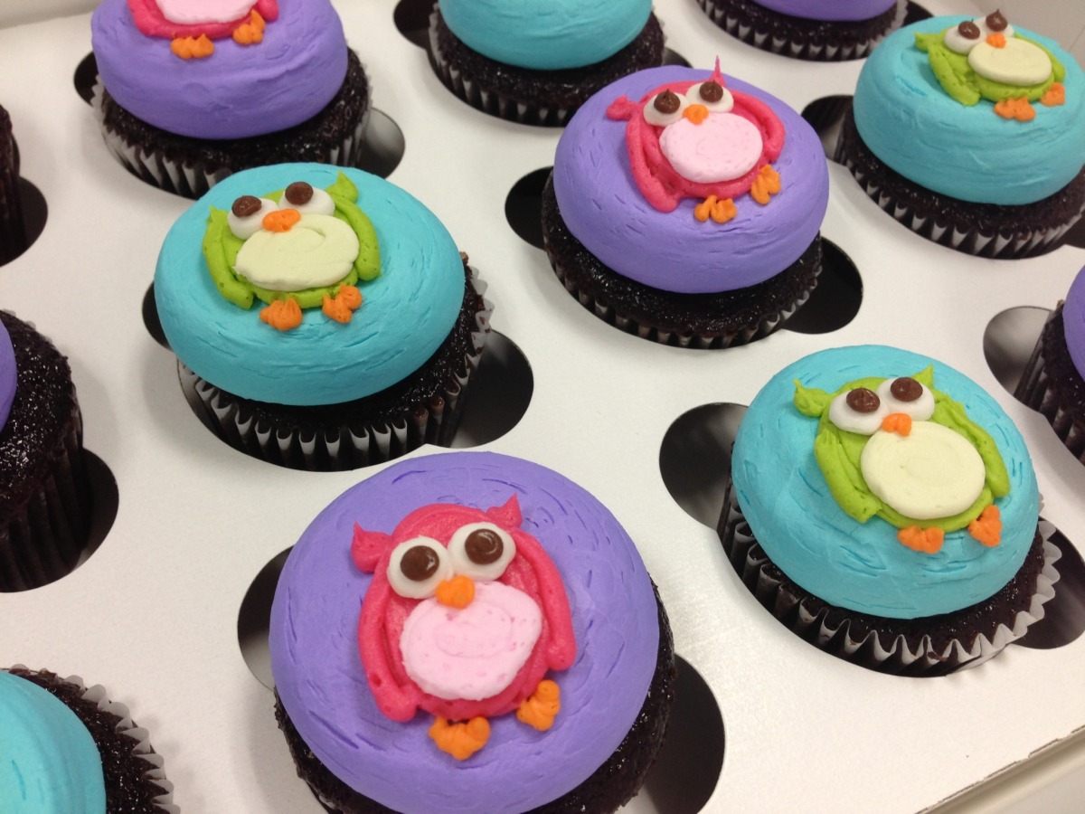 Owls on Cupcakes