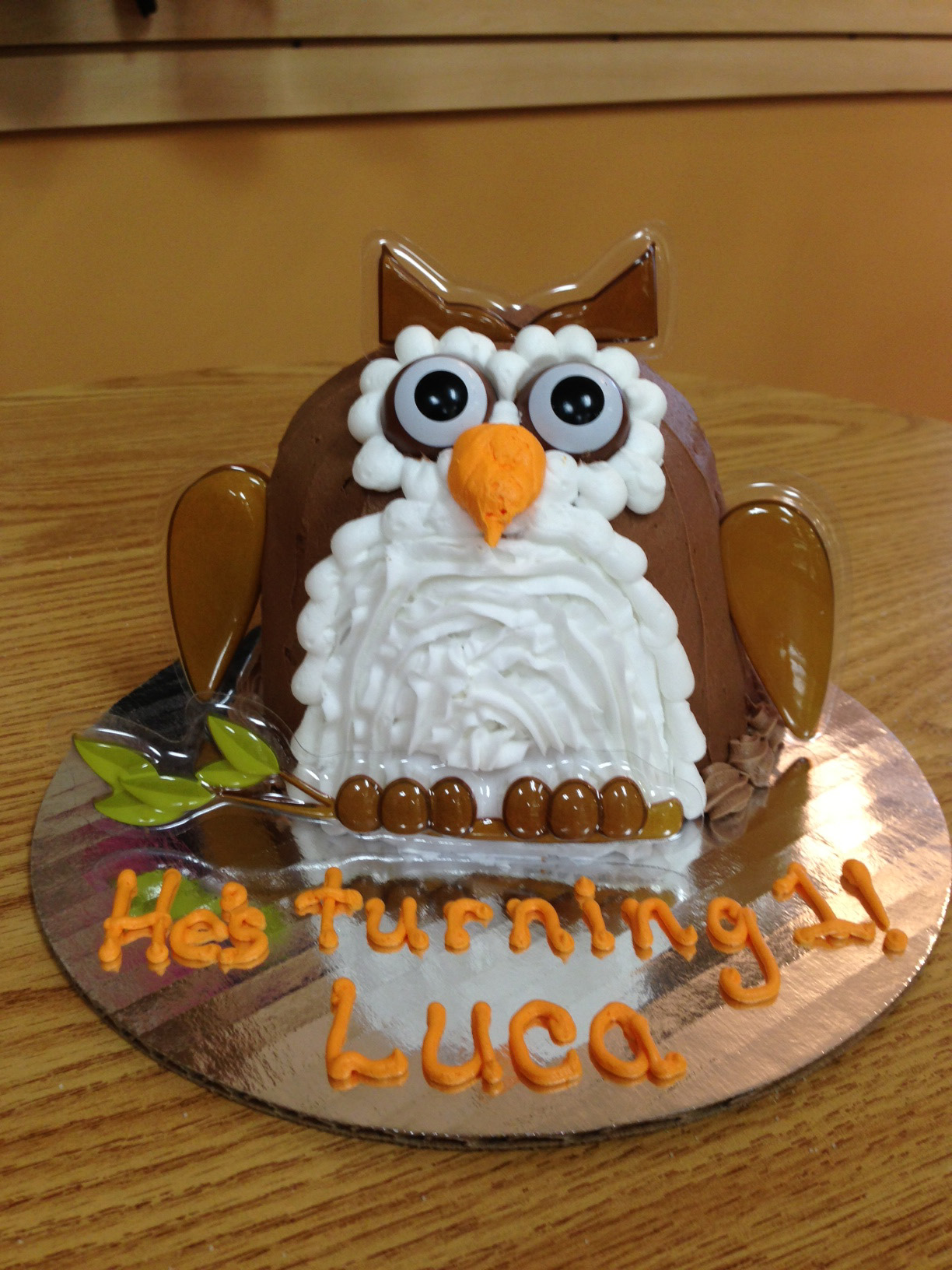 Owl Shaped Cake