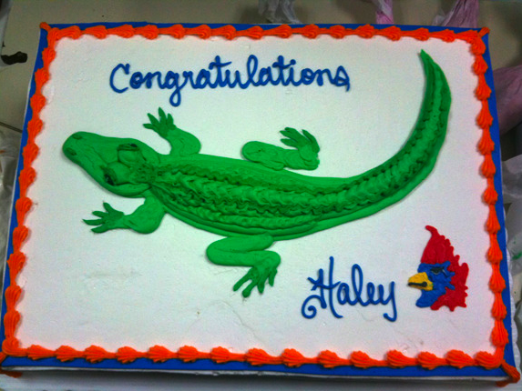 Gator out of Icing