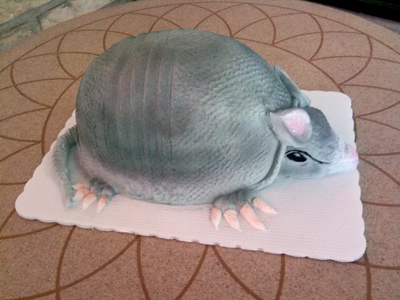 Armadillo Shaped Cake