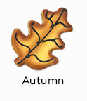 Autumn Cookies