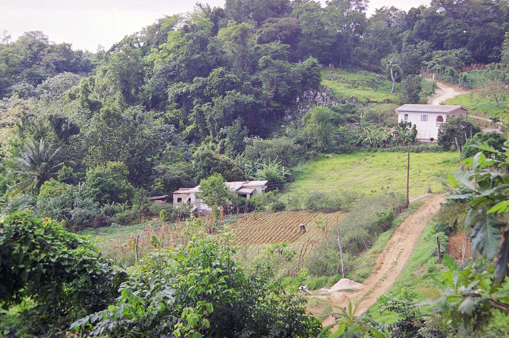 jamaica 2.jpg