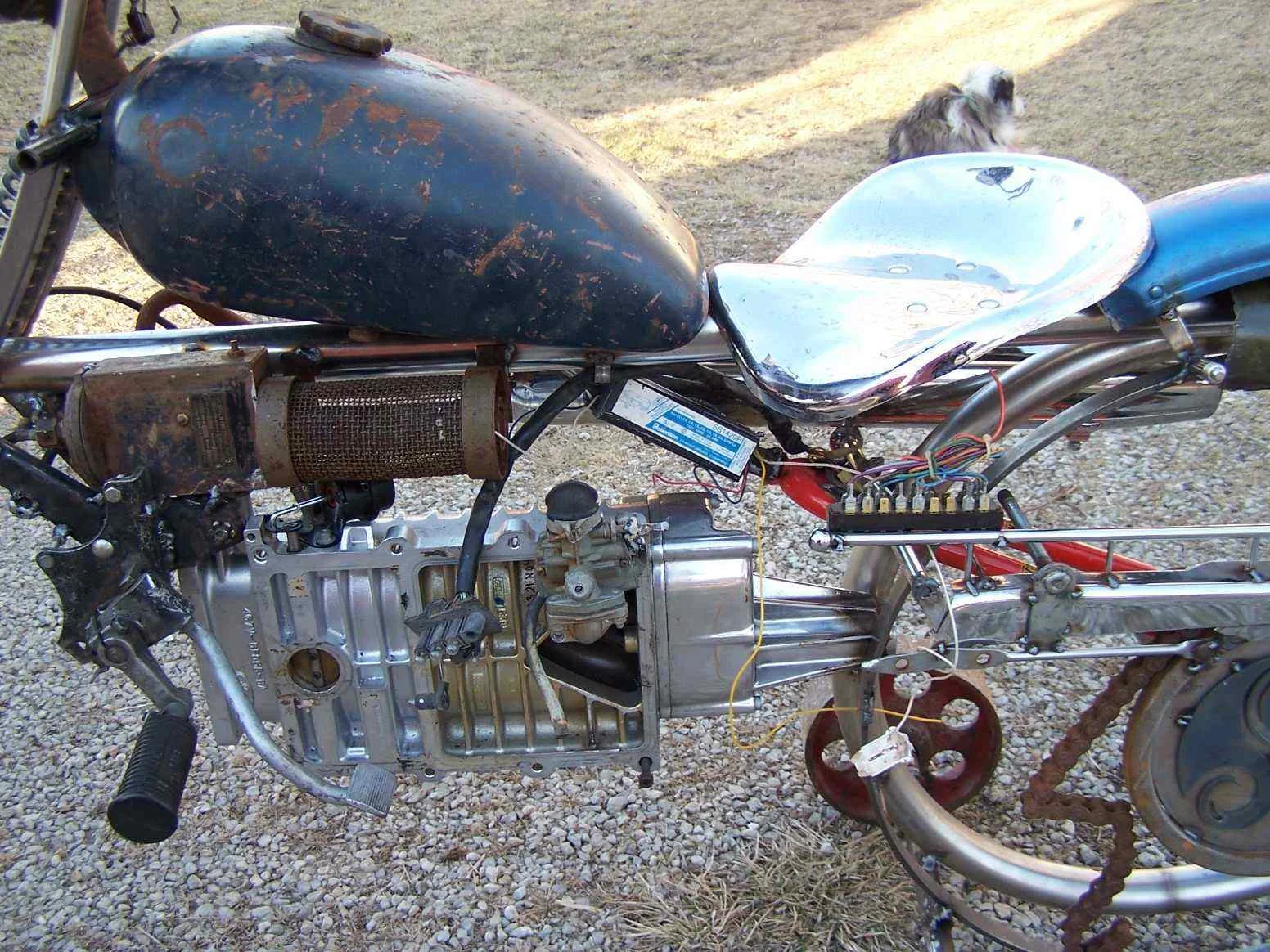 outlaw 5_2463.jpg