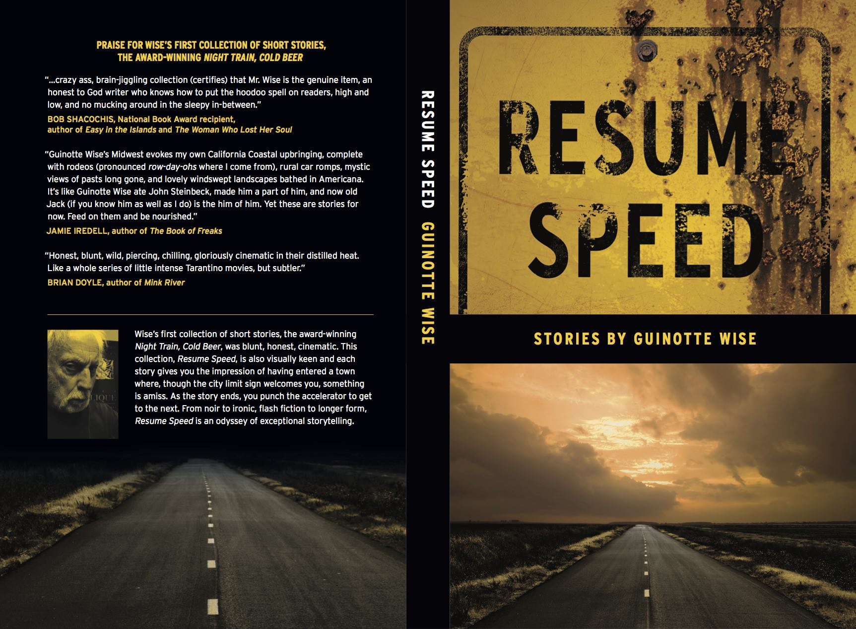 The blurbs are for the previous collection of short stories. That's what you do when you don't have blurbs for the present book, yet. I will switch these out at a later printing. If I get any good ones. (Cover design by the talented Mr. Carmean)