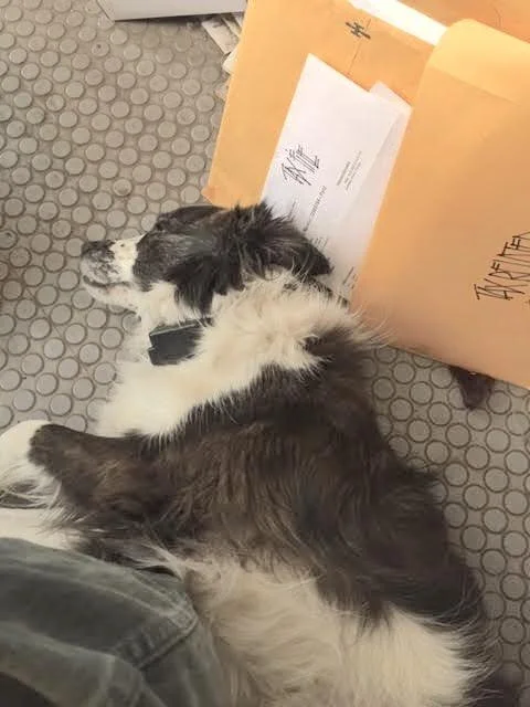 Cash got bored with us. He’s in the living room.