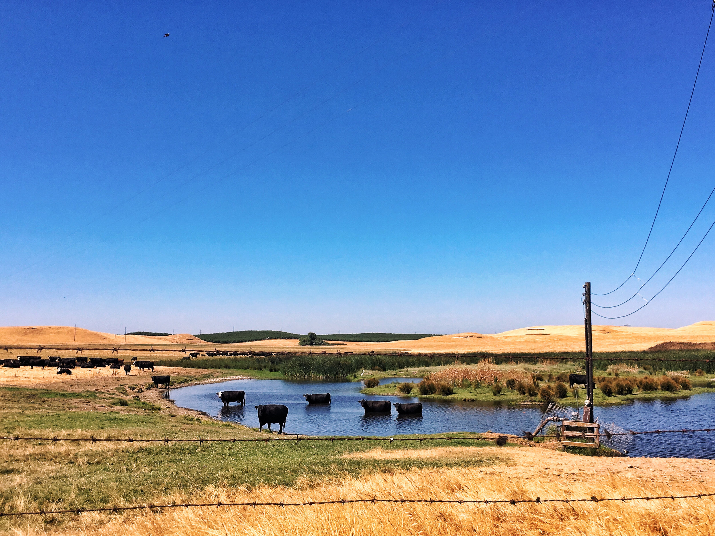Scenes from a Bike - 8 of 37.jpg