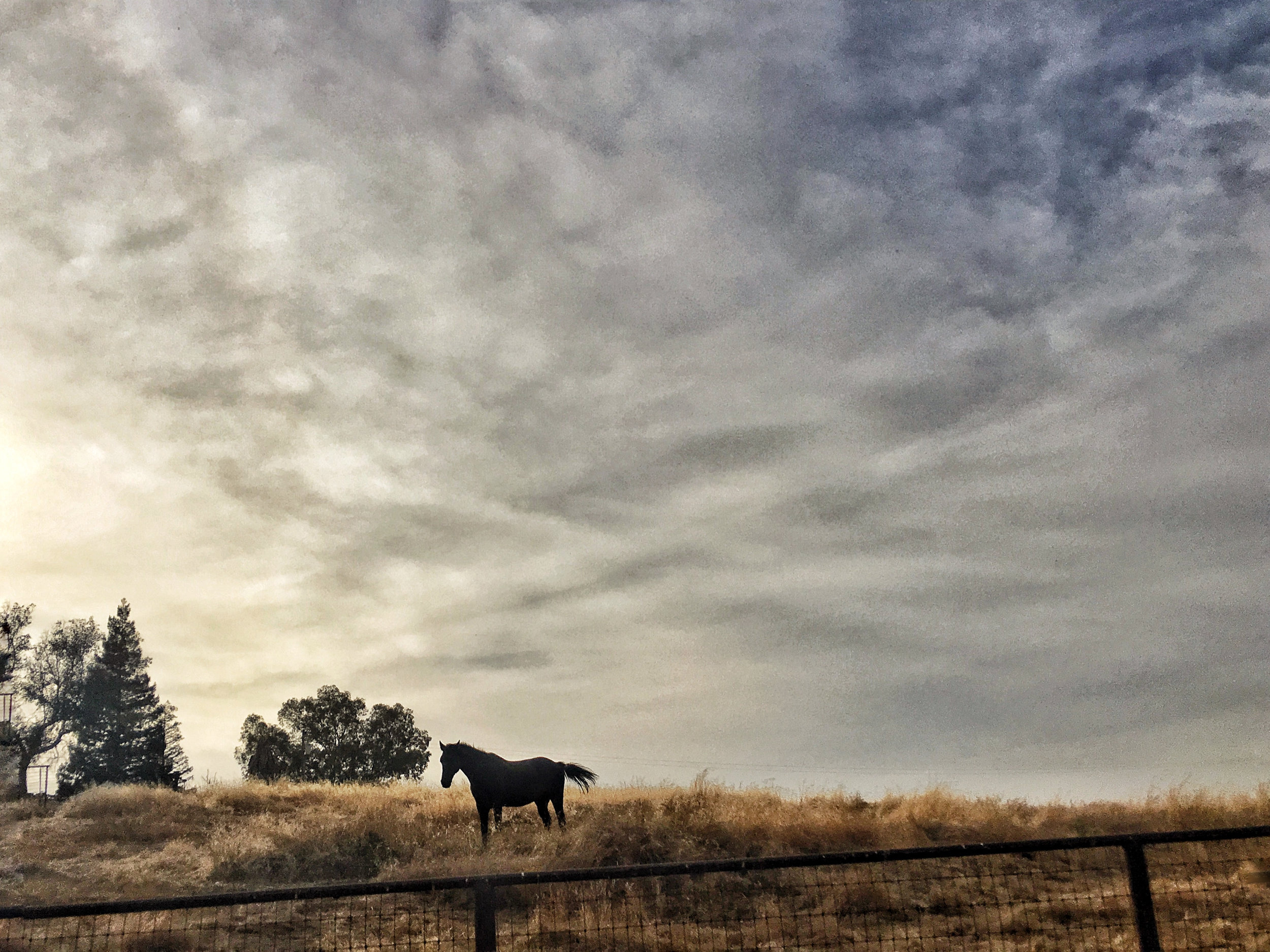 Scenes from a Bike - 21 of 37.jpg