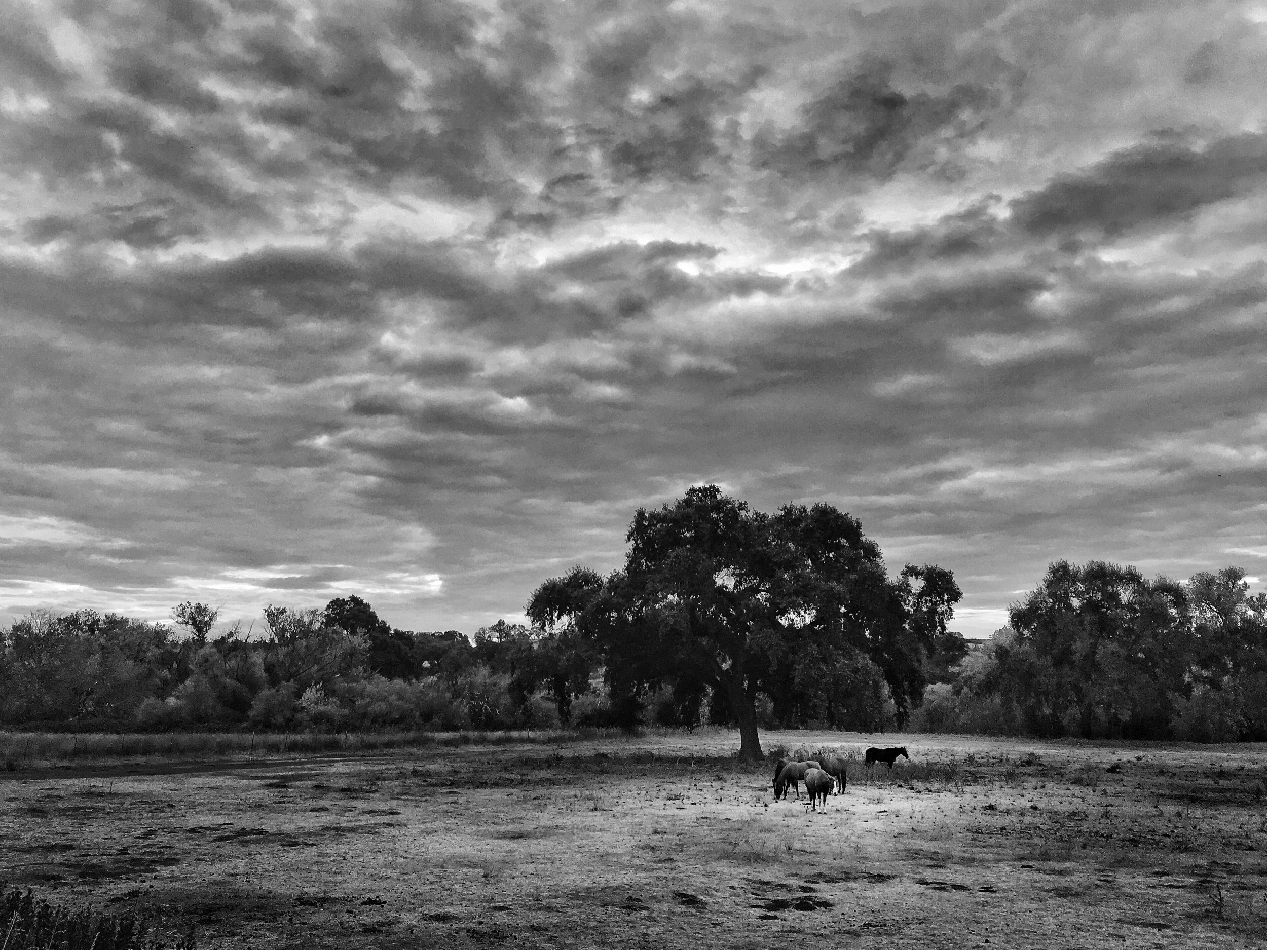 Scenes from a Bike - 22 of 37.jpg