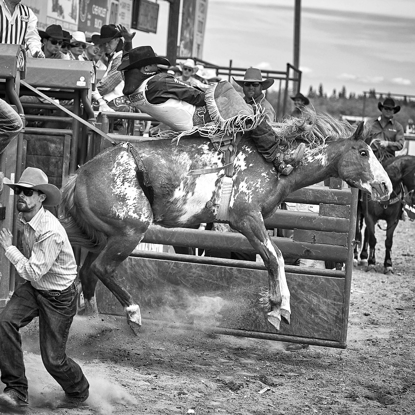 Rodeo_2019_619.jpg