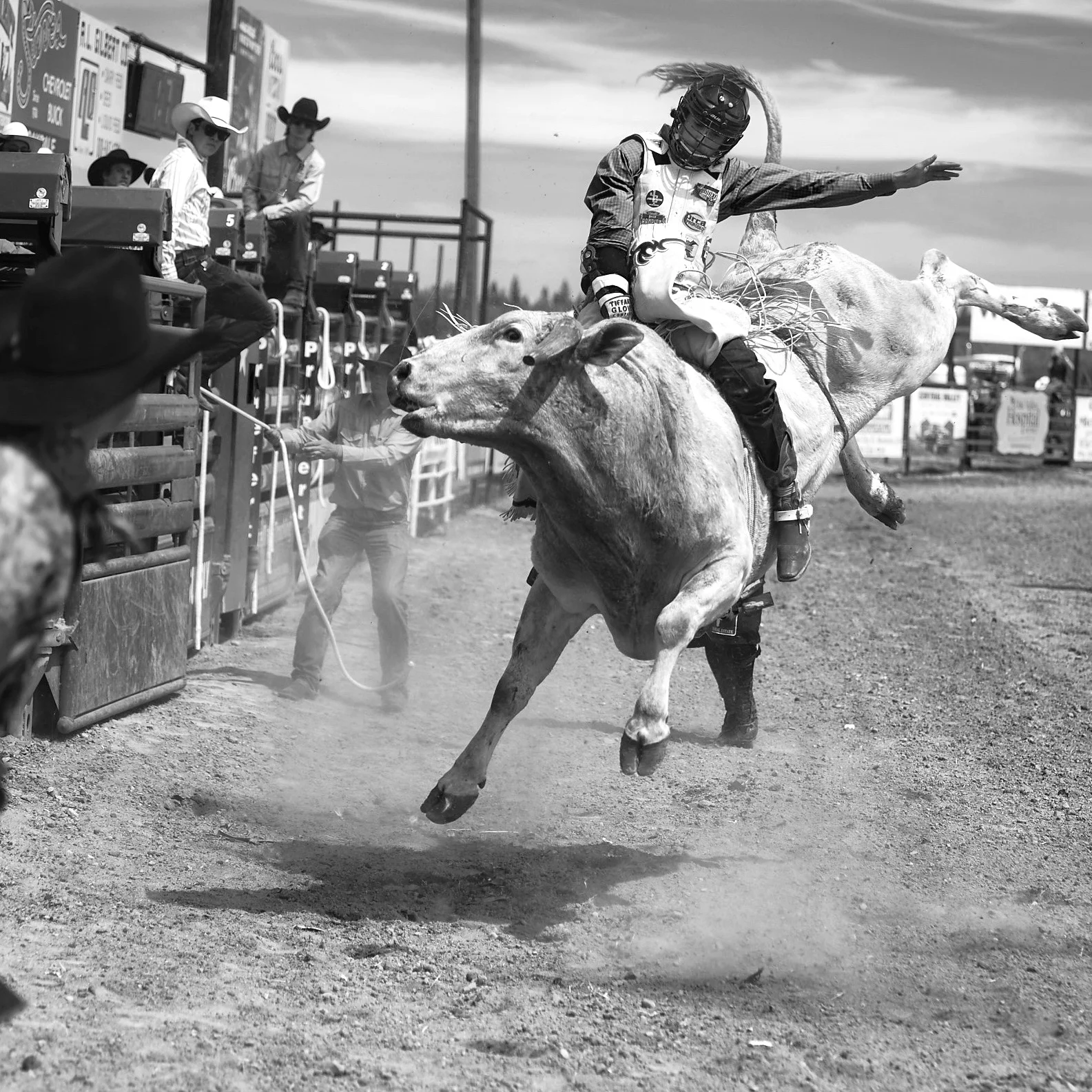 Rodeo_2019_244-proof.jpg