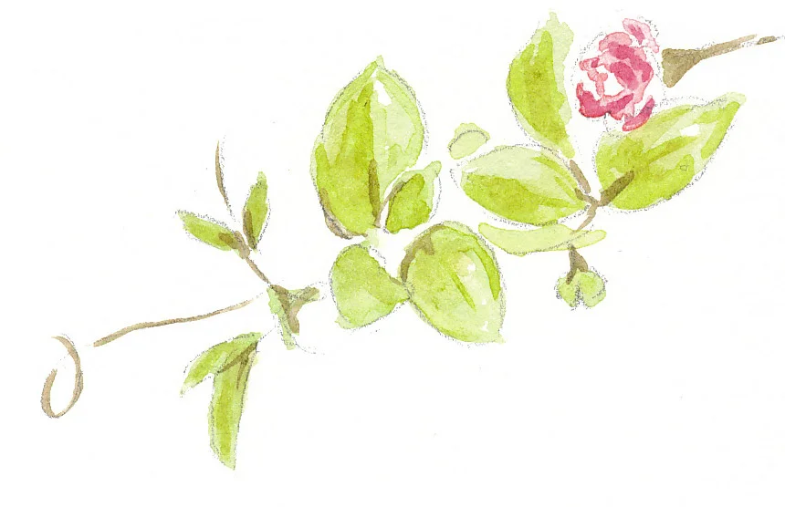 flower1.jpg
