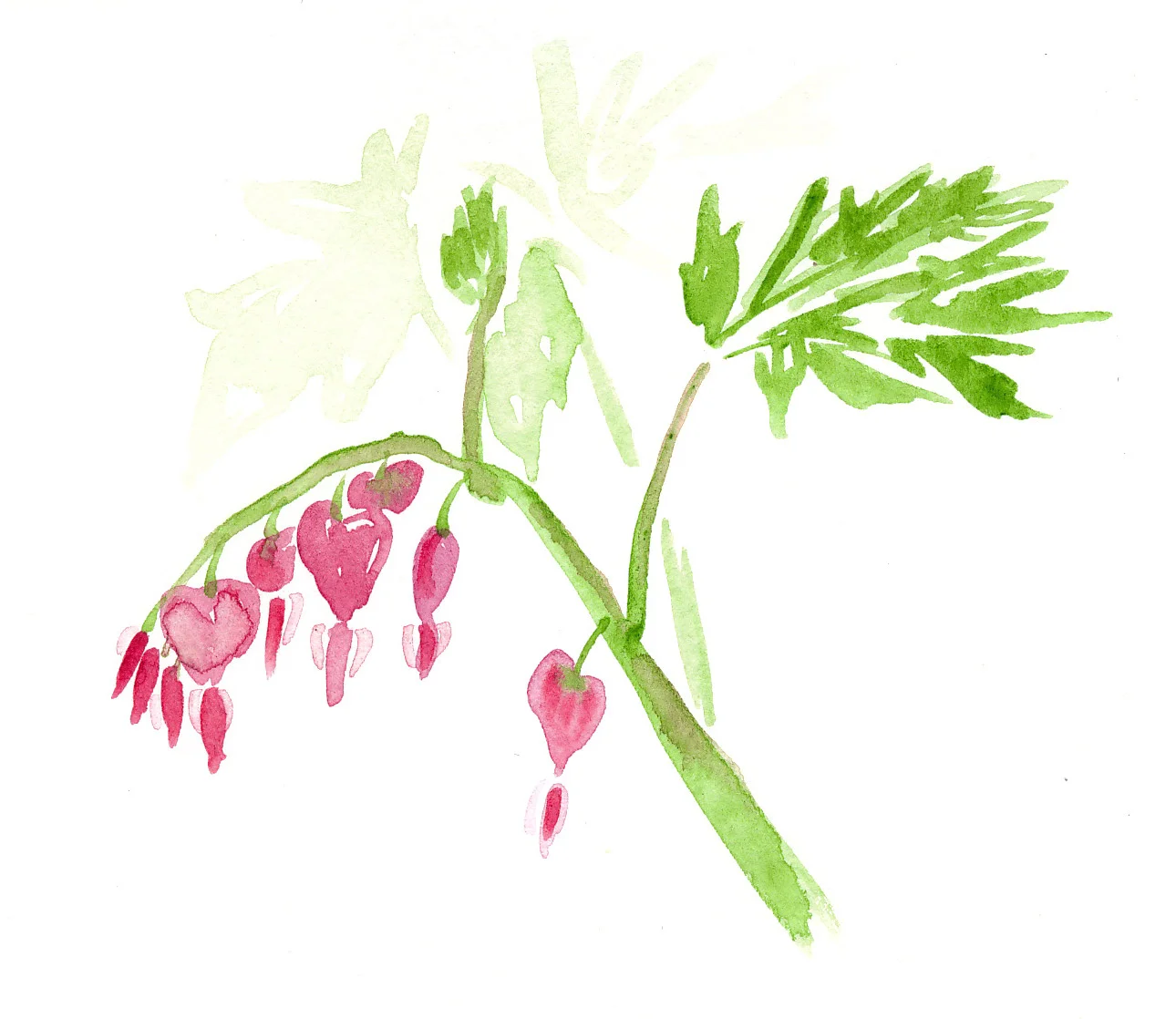 drawingsarah.com_flower2.jpg
