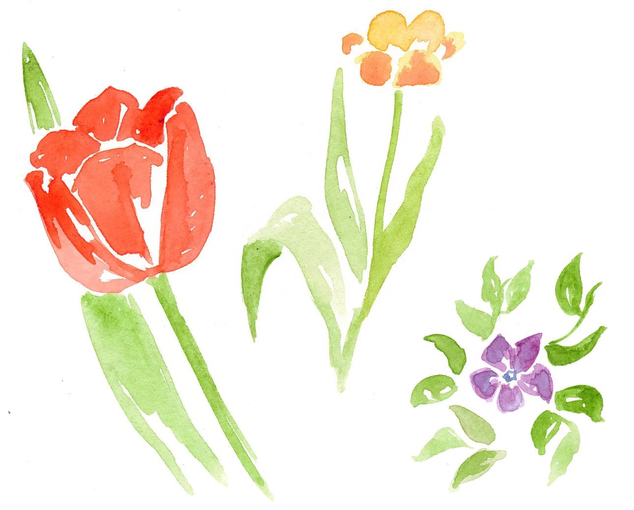 drawingsarah.com_flower4.jpg