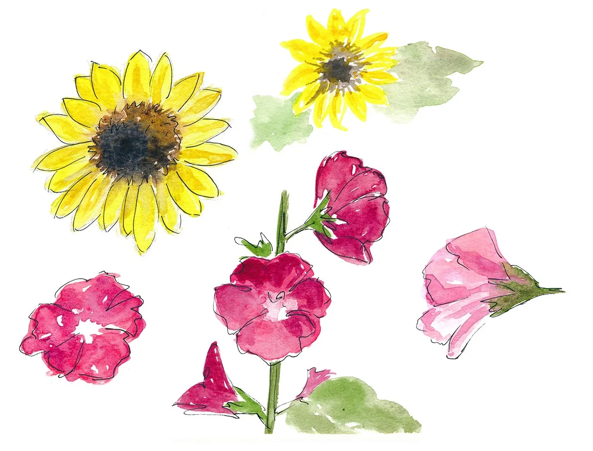 drawingsarah.com_fsketches.jpg