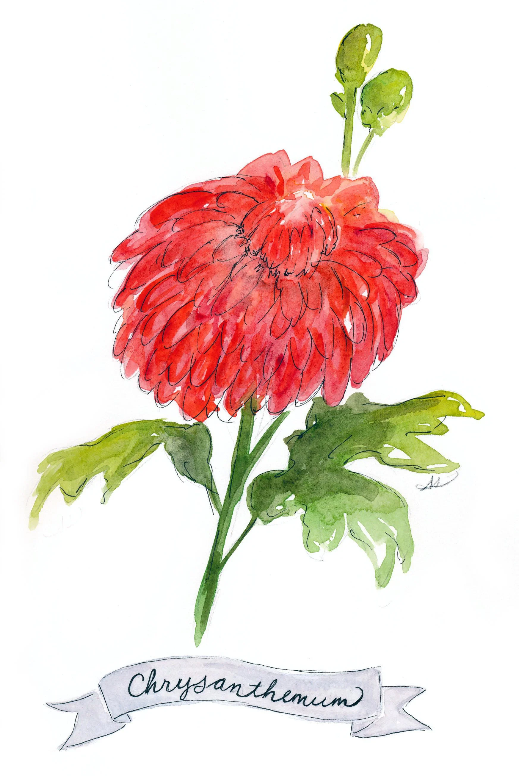 drawingsarah.com_nov.jpg