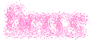 'Fierce Festival', The Edge, Birmingham