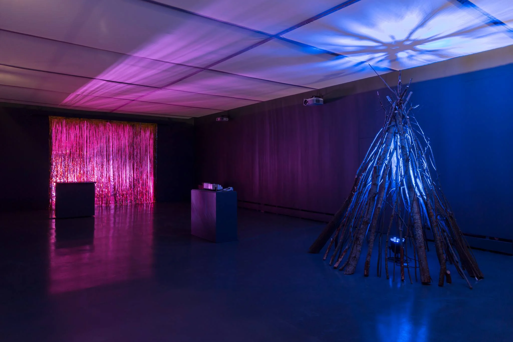 Installation view. Photo: Paul Allitt