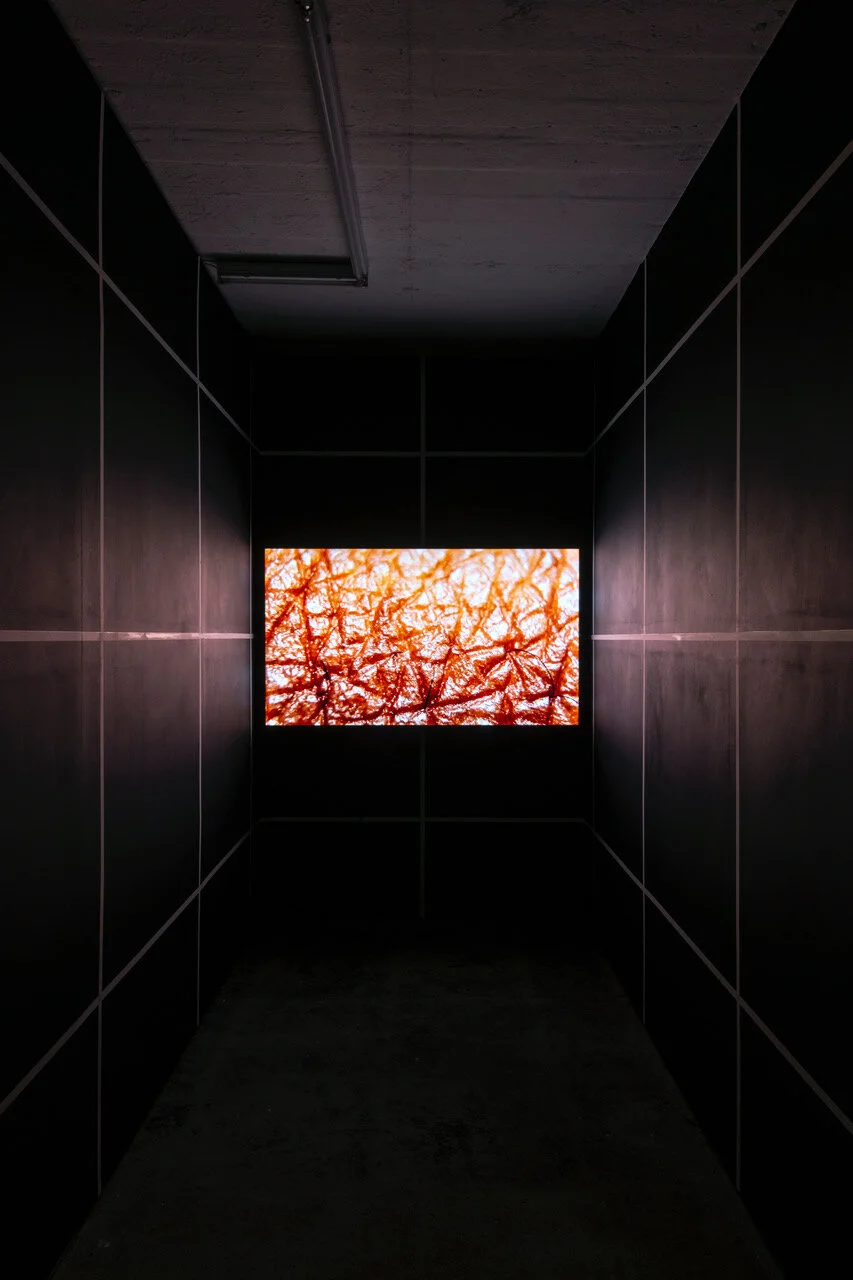 “A Terrible Fiction”, 2019, Larry Achiampong & David Blandy Photo: Installation at Seventeen Gallery, London