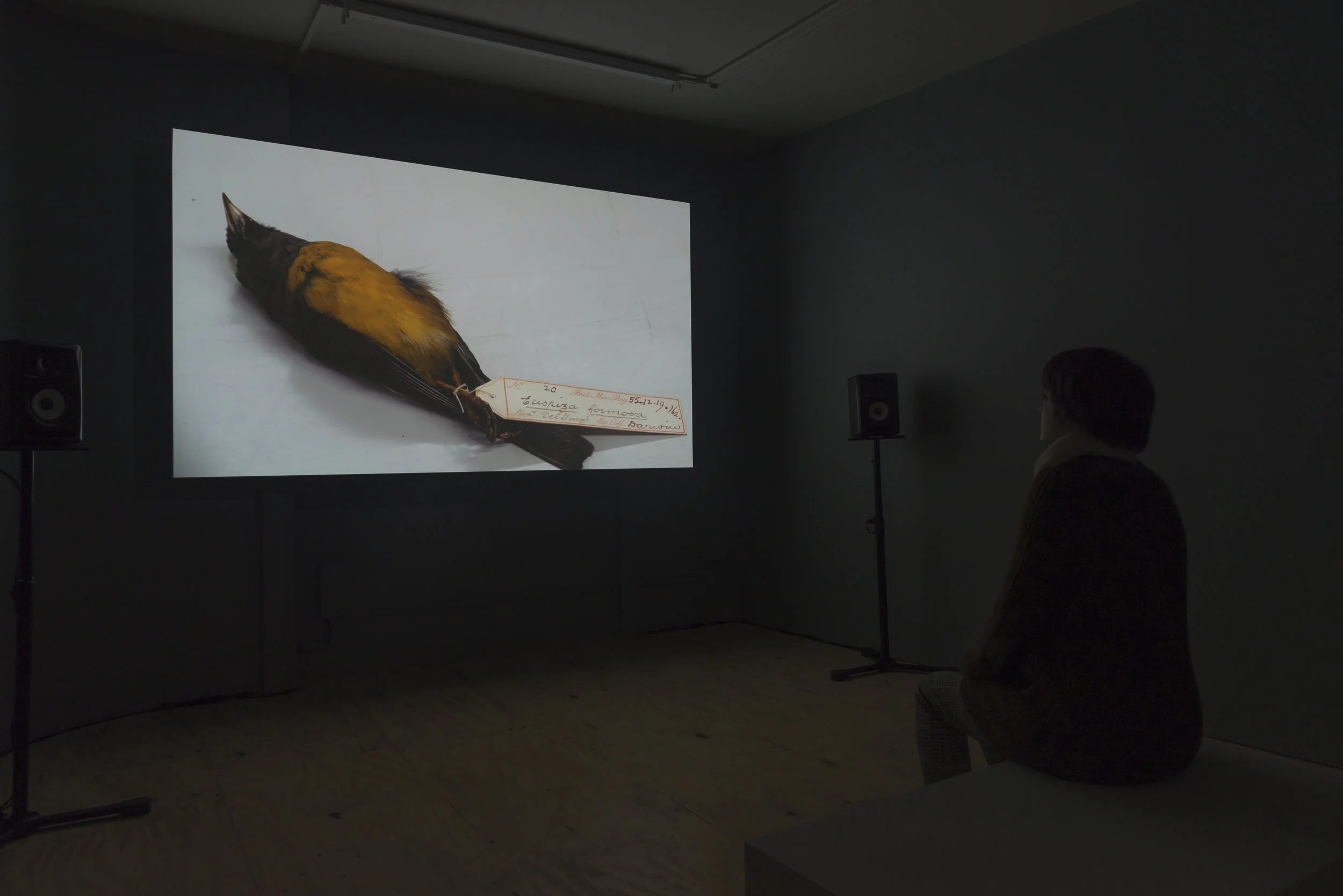 “A Terrible Fiction”, Installation View, Arts Catalyst, London Larry Achiampong & David Blandy