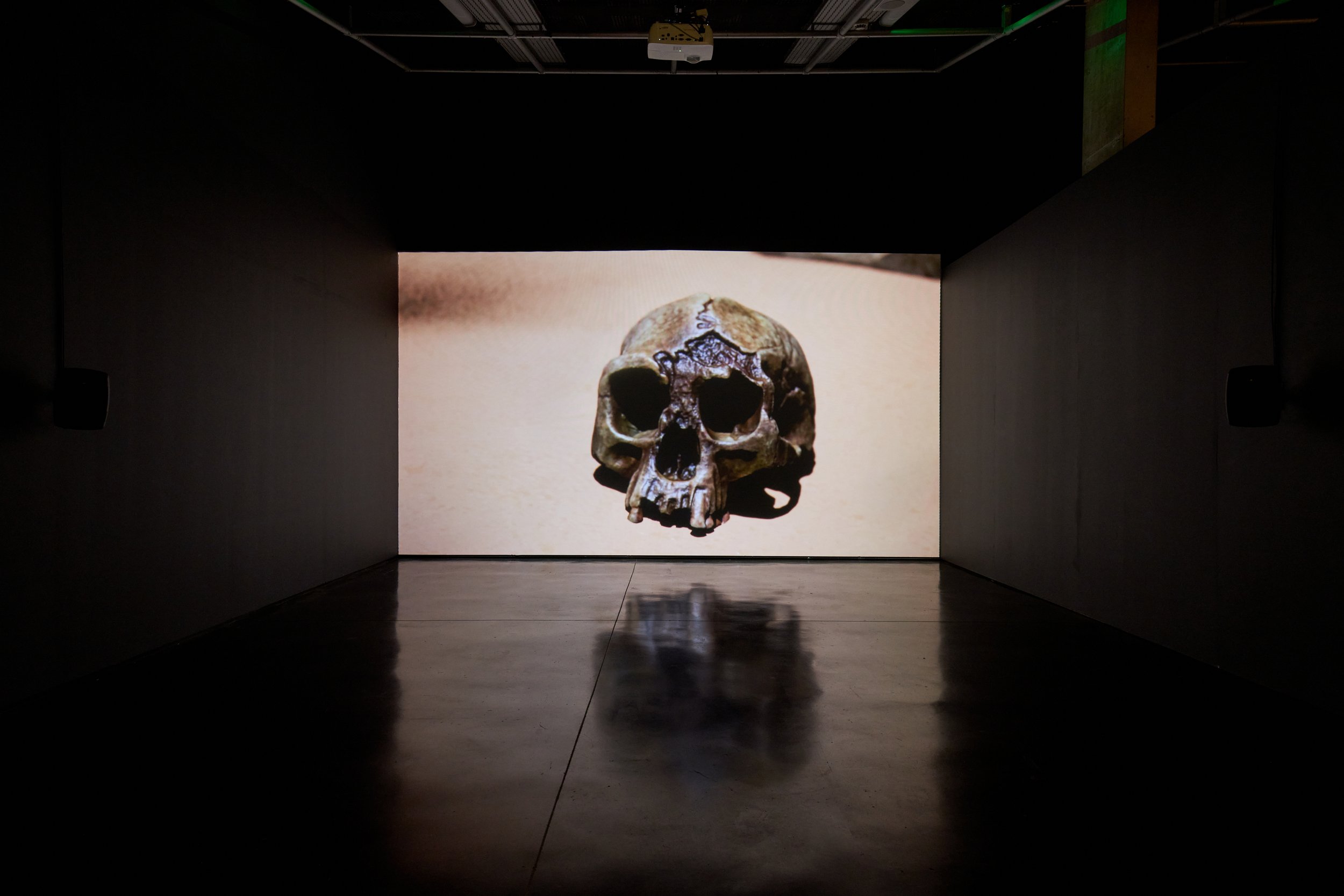 Larry Achiampong and David Blandy, Dust to Data (2021). Image by Rob Battersby. Installation view at FACT. 15.jpg