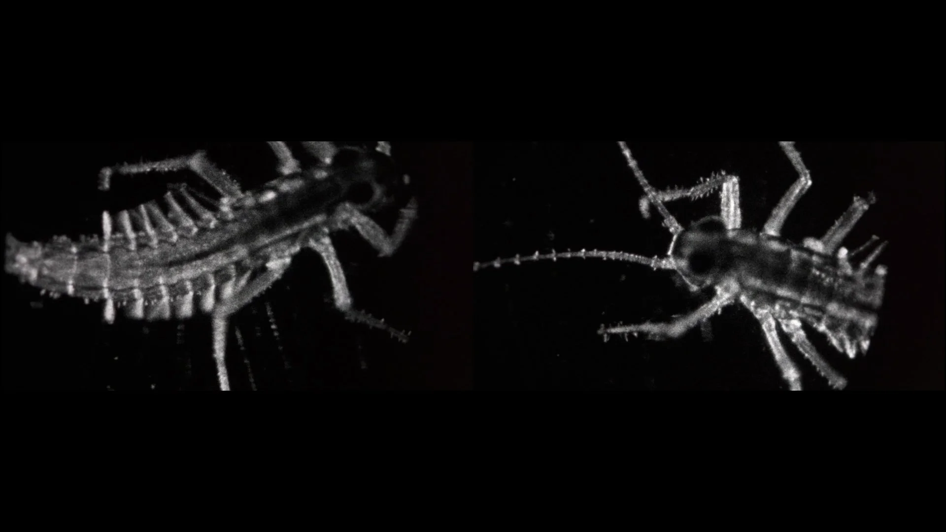 The Open Road - East Gallery, Norwich