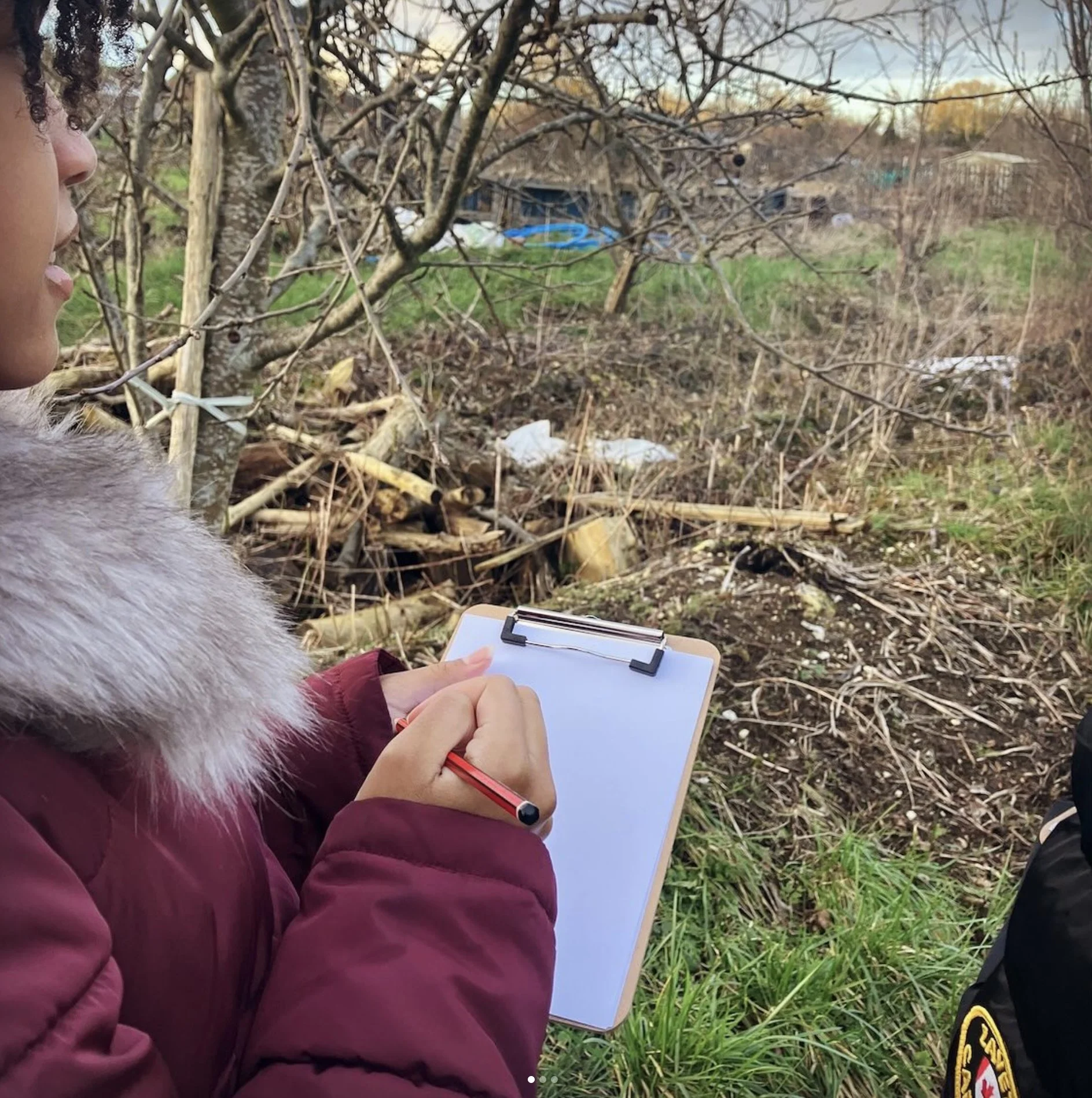 good food matters drawing.jpg