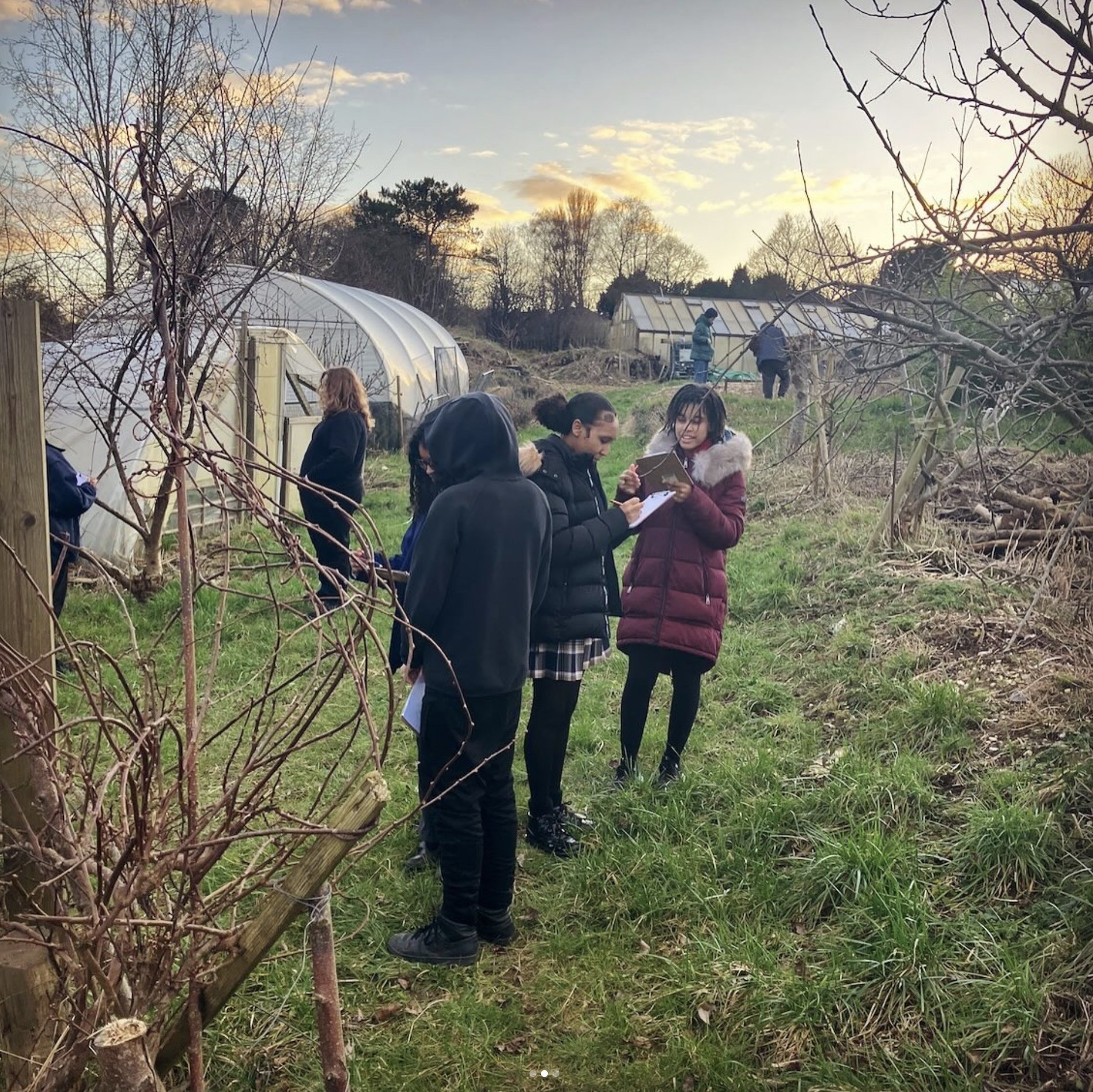 good food matters drawing2.jpg