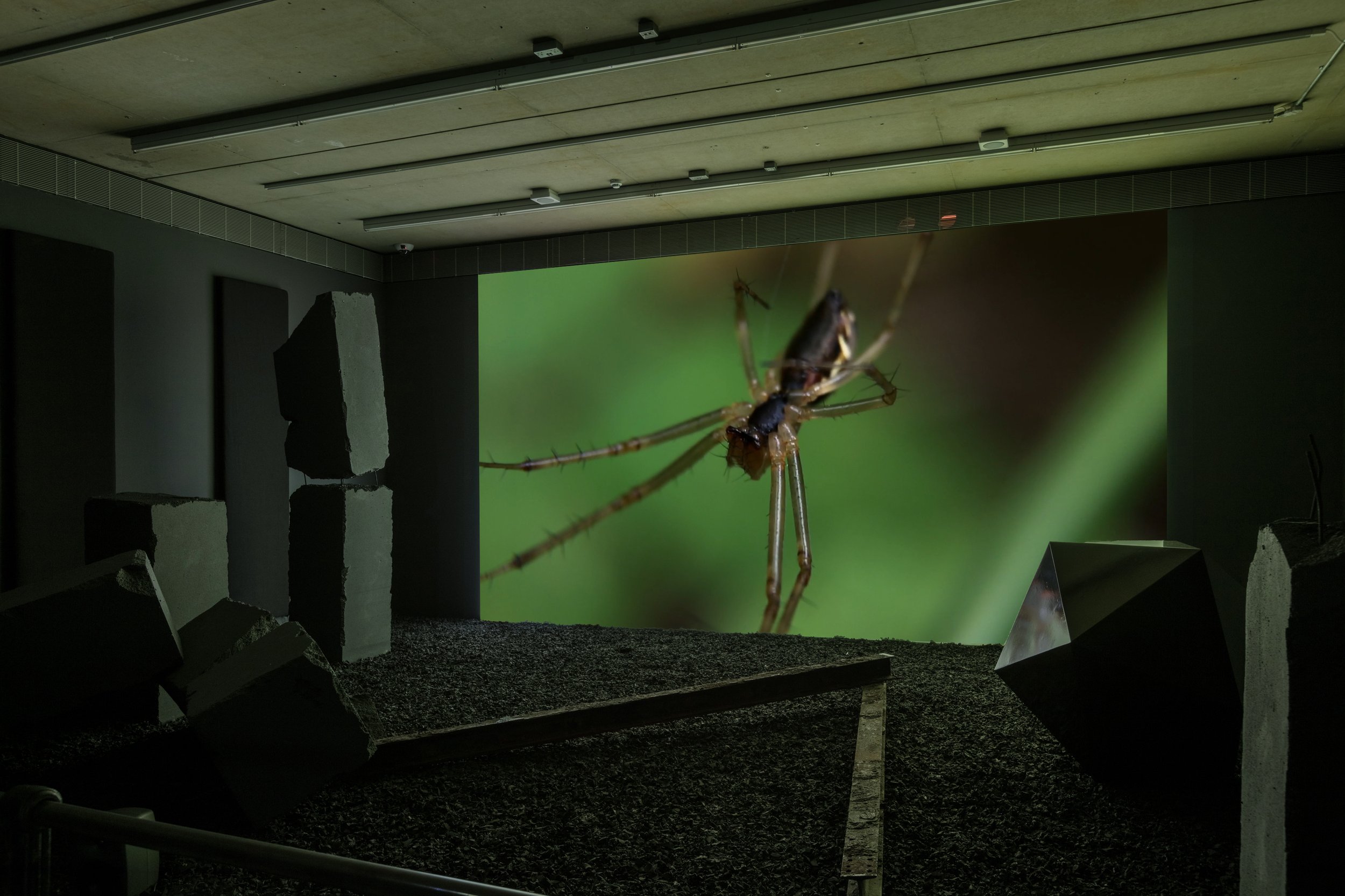 3 FPG-BLANDY_ALUKALA-205-2dnG spider1.jpg